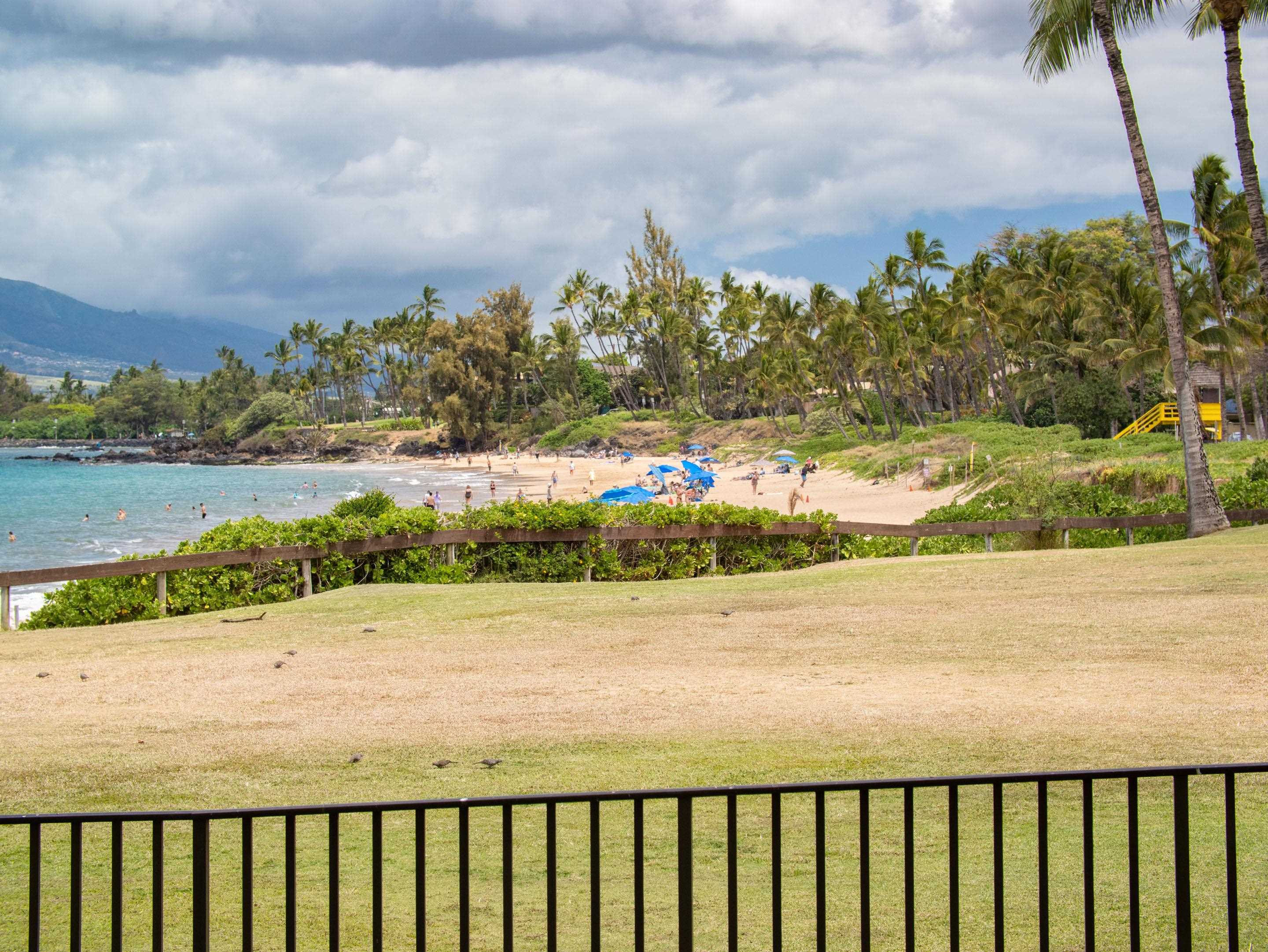 Royal Mauian condo # 104, Kihei, Hawaii - photo 39 of 41