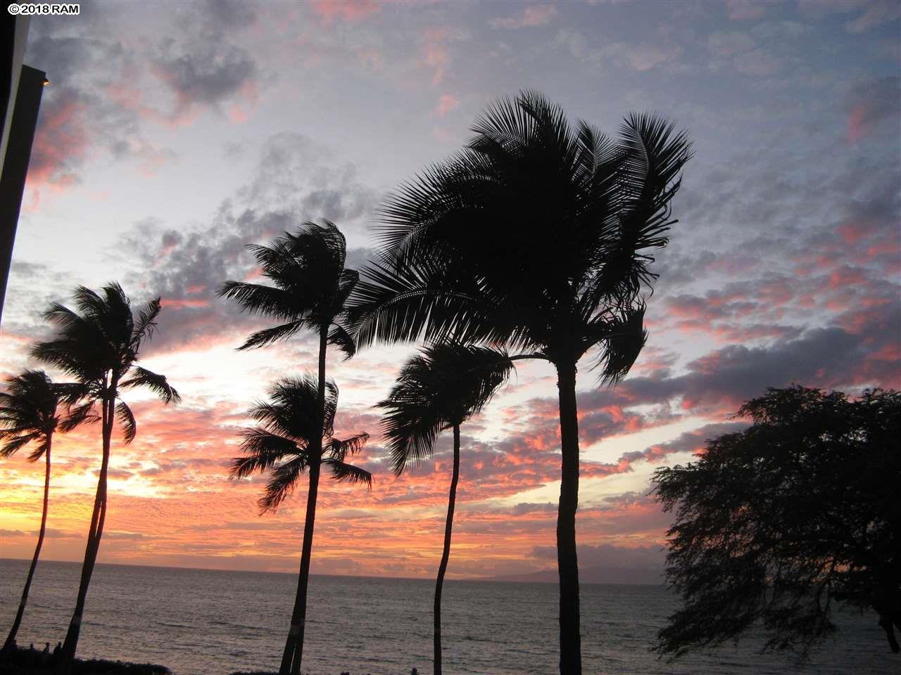 Royal Mauian condo # 204, Kihei, Hawaii - photo 3 of 27