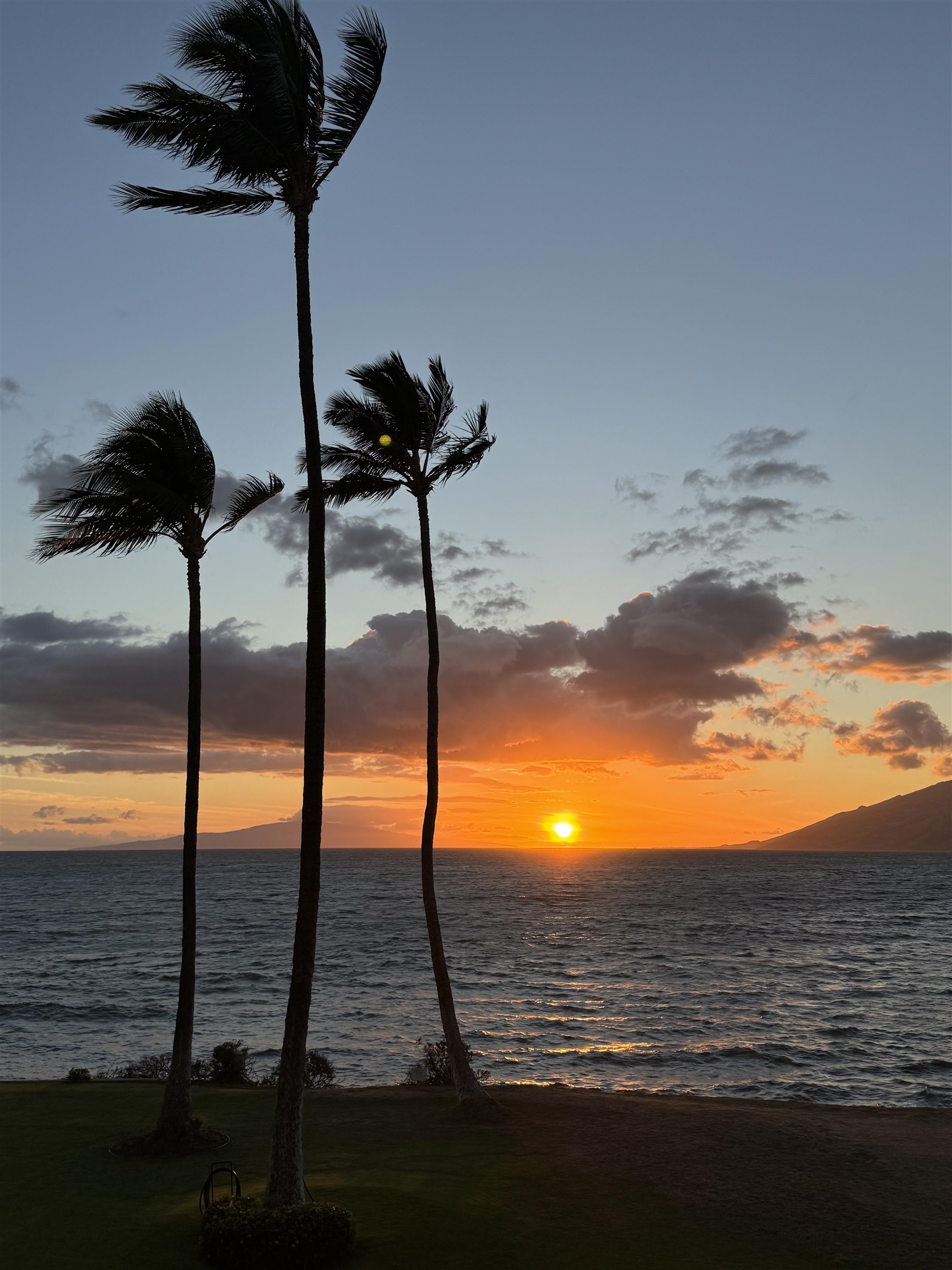 Royal Mauian condo # 206, Kihei, Hawaii - photo 36 of 39