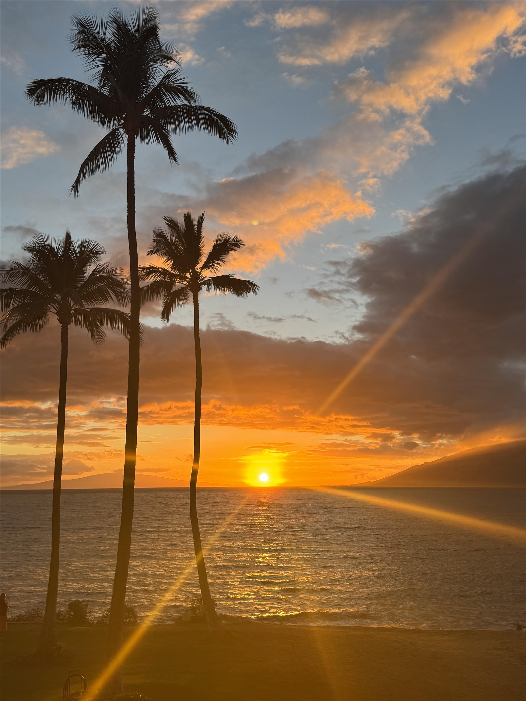 Royal Mauian condo # 206, Kihei, Hawaii - photo 38 of 39
