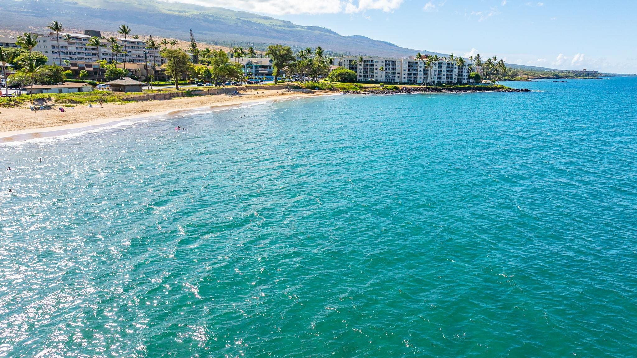 Royal Mauian condo # 515, Kihei, Hawaii - photo 48 of 50