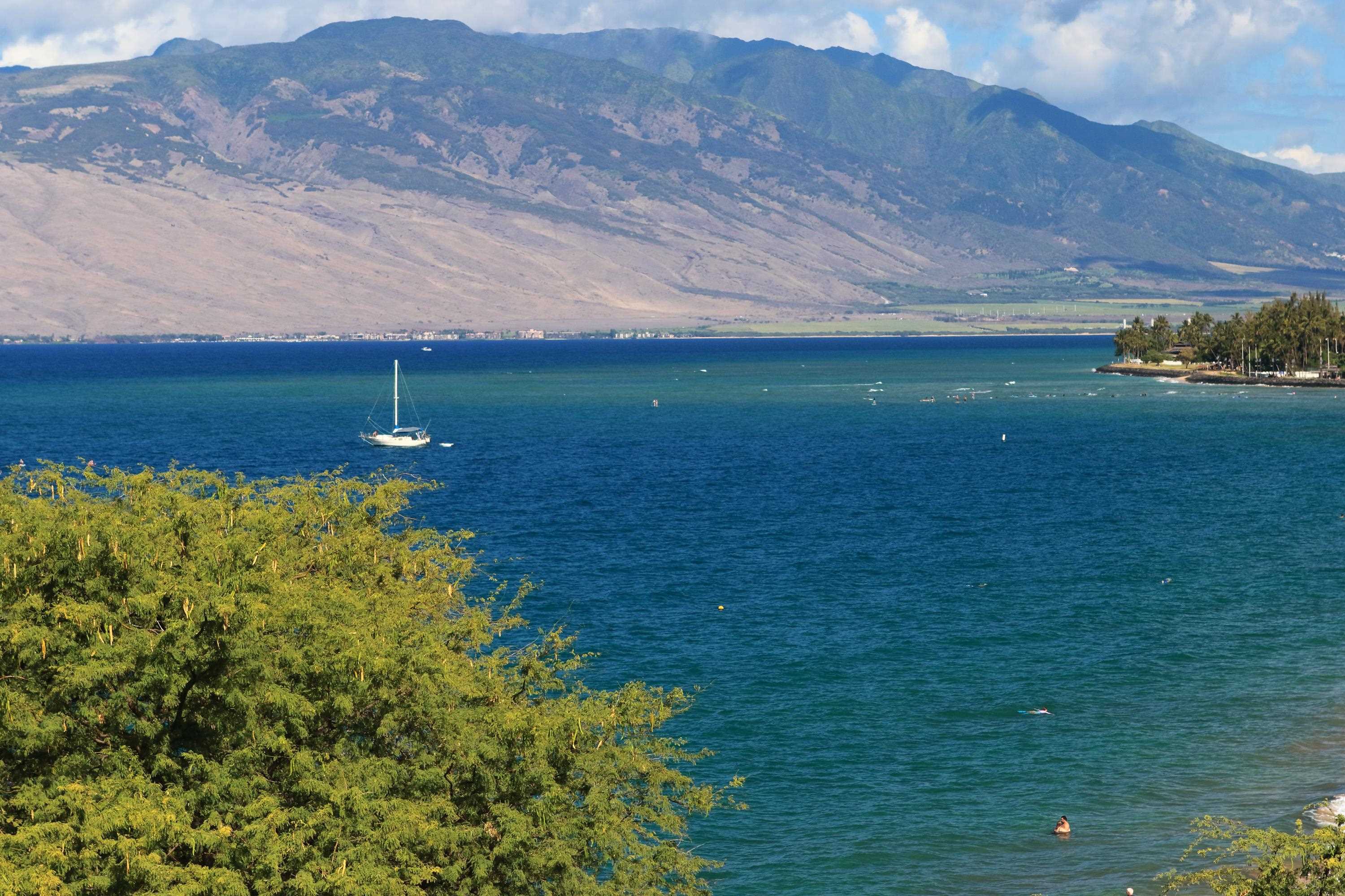 Royal Mauian condo # 606, Kihei, Hawaii - photo 25 of 28