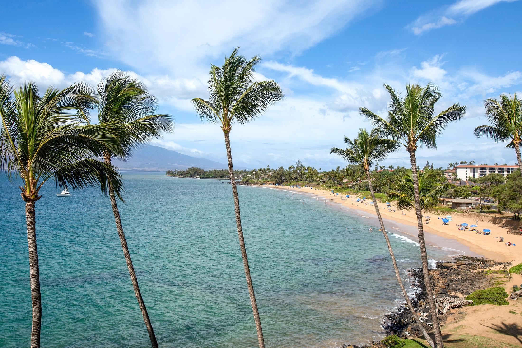 Royal Mauian condo # 612, Kihei, Hawaii - photo 4 of 43