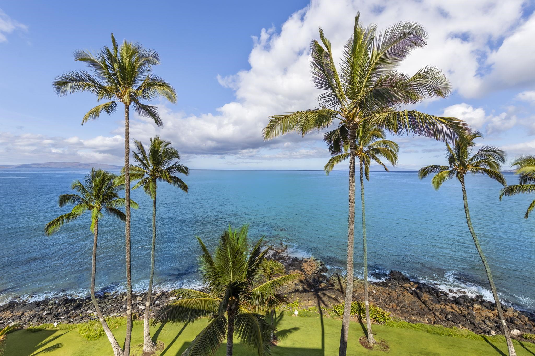 Royal Mauian condo # 618, Kihei, Hawaii - photo 22 of 50