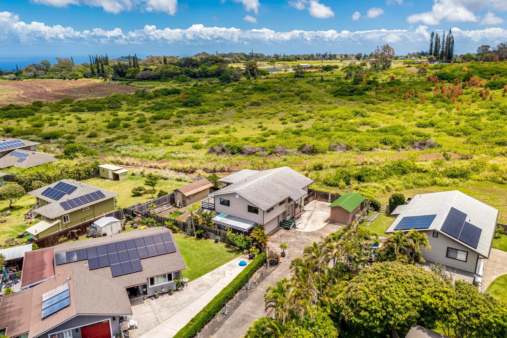 244  N Makaleha Pl , Makawao/Olinda/Haliimaile home - photo 3 of 17