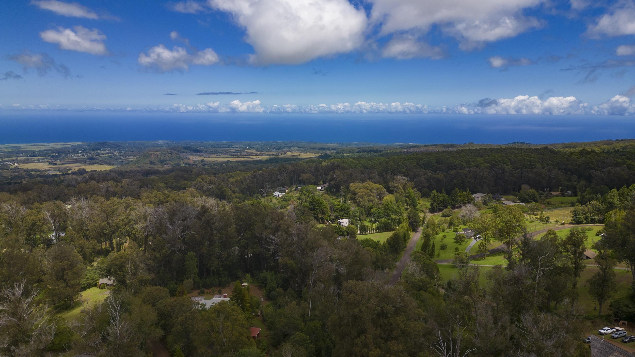 2445  Piiholo Rd , Makawao/Olinda/Haliimaile home - photo 45 of 47