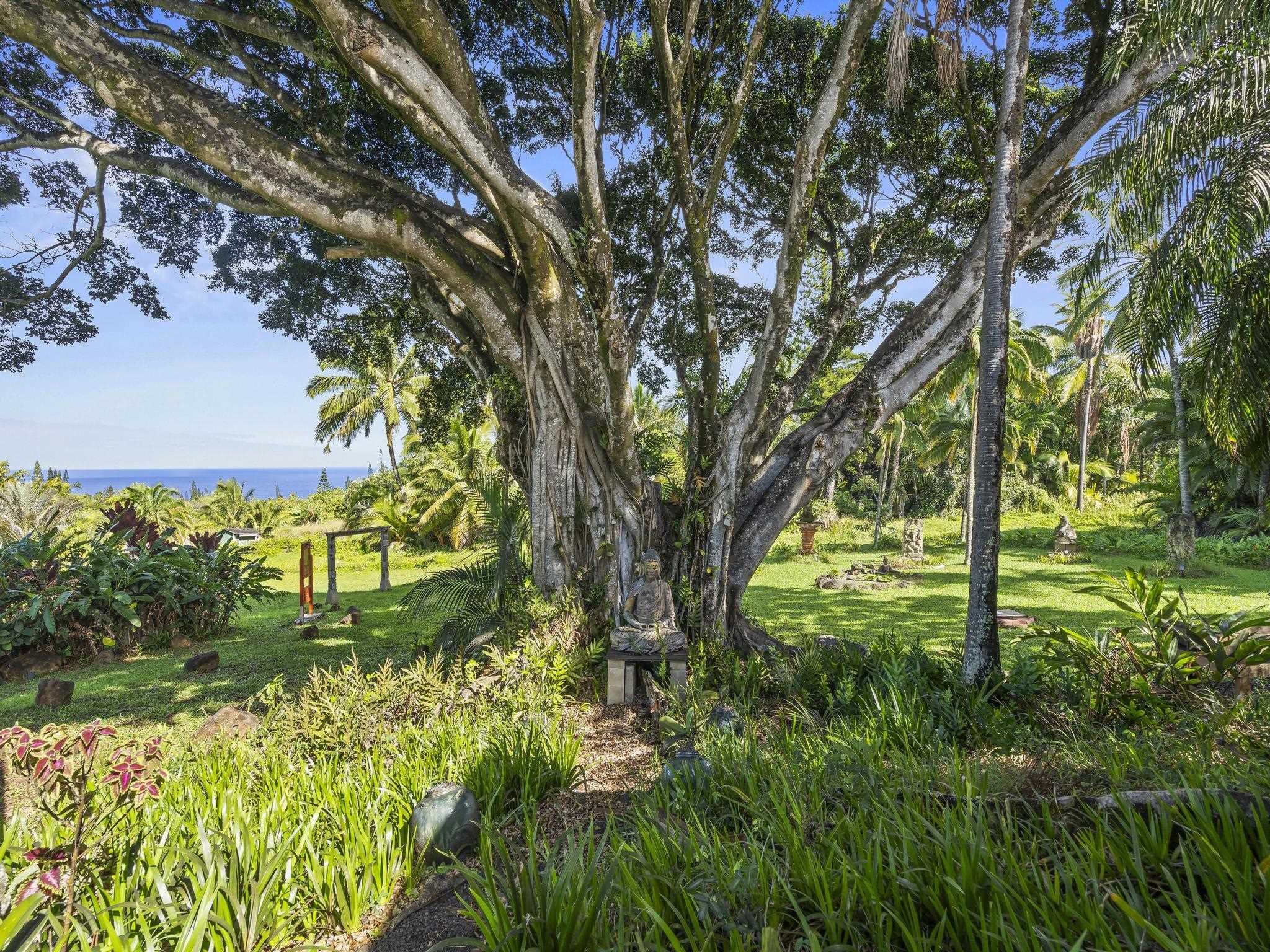 245  Honokala Rd Huelo/twin Falls, Haiku home - photo 39 of 50