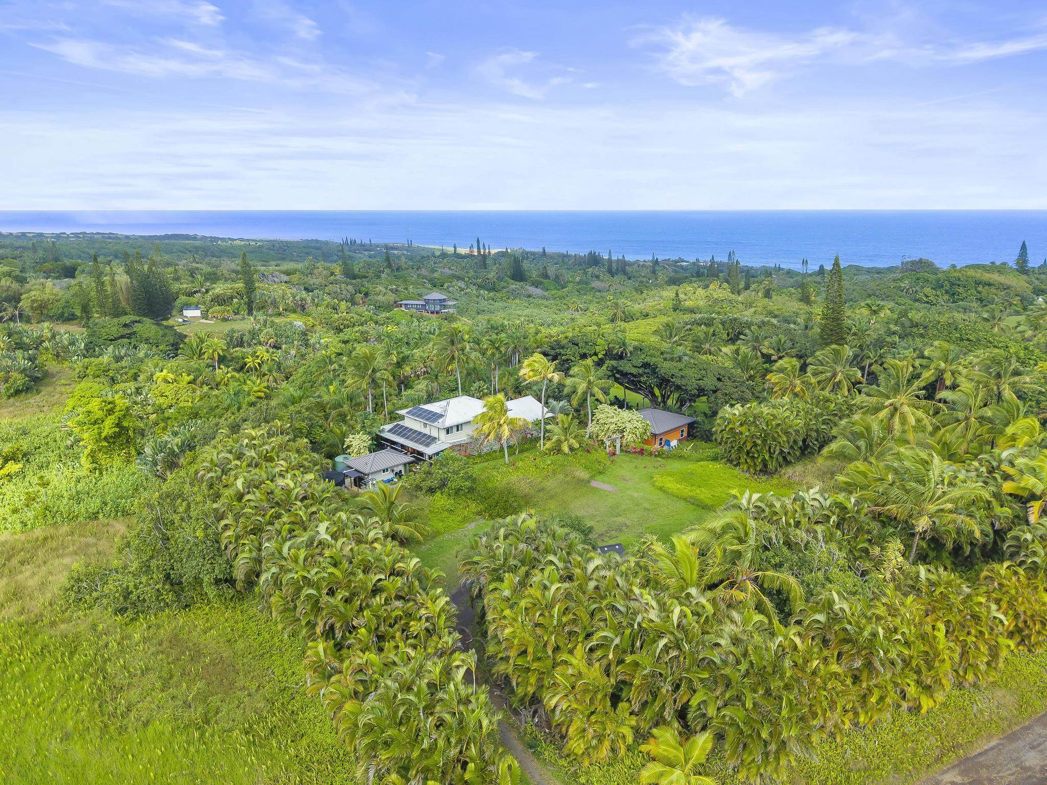 245  Honokala Rd Huelo/twin Falls, Haiku home - photo 44 of 50