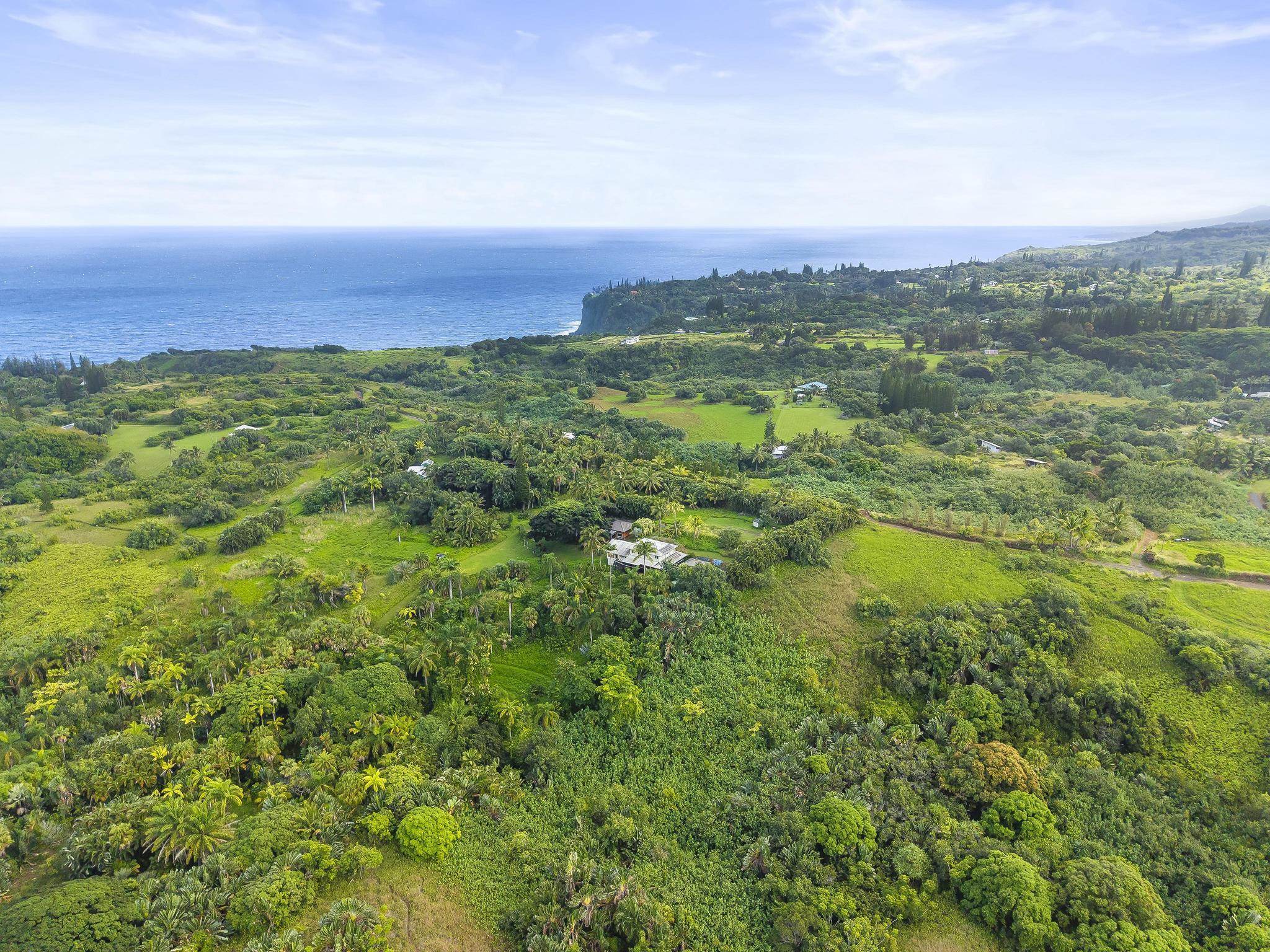 245  Honokala Rd Huelo/twin Falls, Haiku home - photo 45 of 50