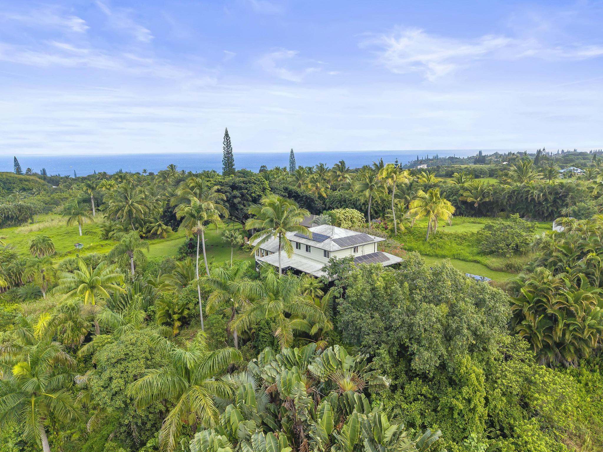 245  Honokala Rd Huelo/twin Falls, Haiku home - photo 46 of 50