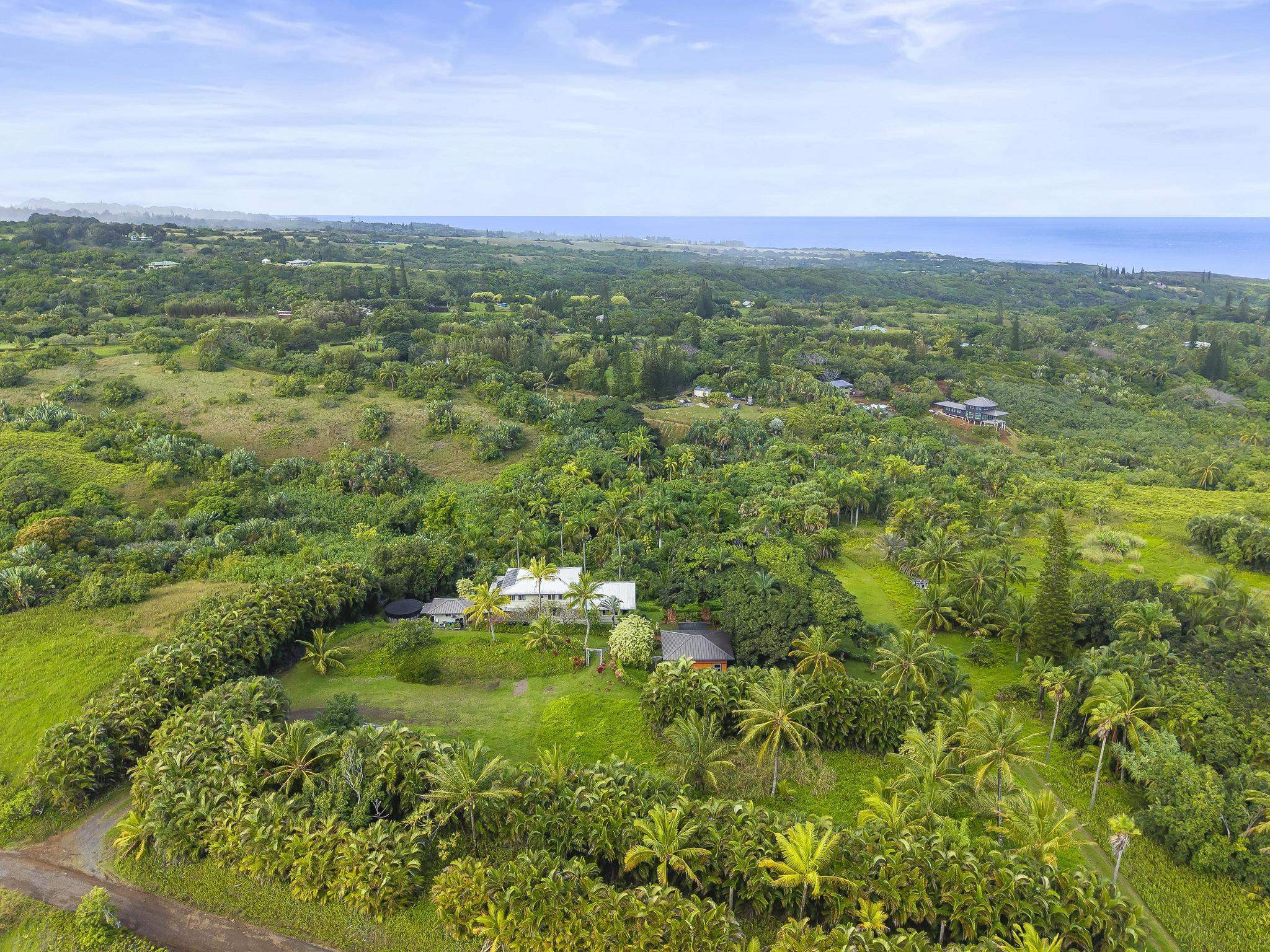 245  Honokala Rd Huelo/twin Falls, Haiku home - photo 48 of 50