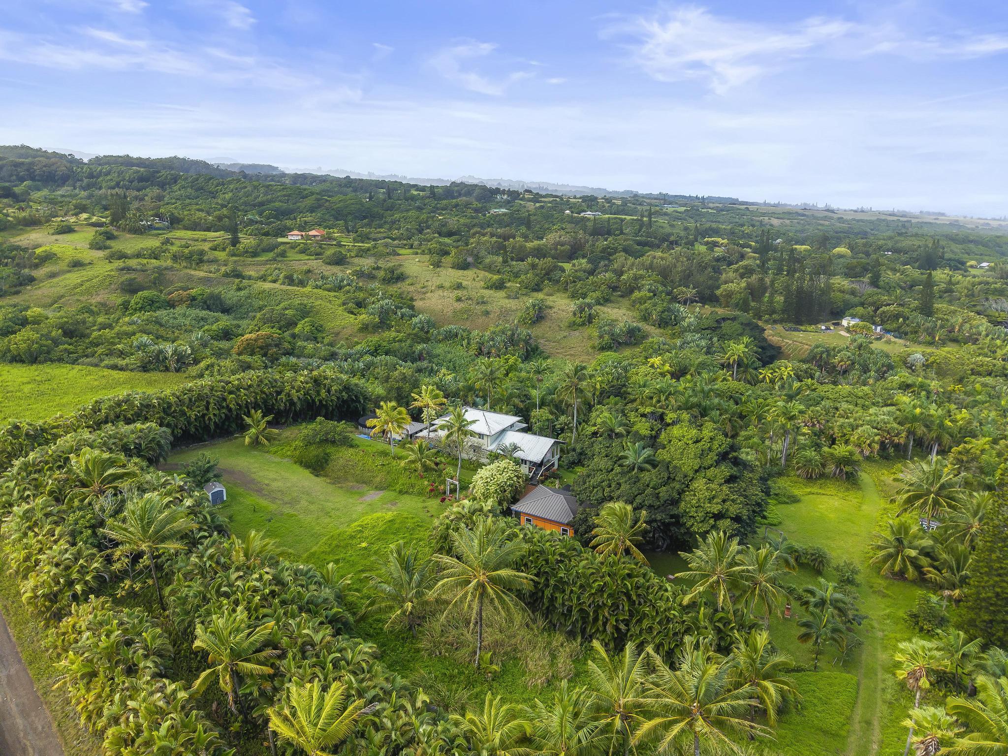 245  Honokala Rd Huelo/twin Falls, Haiku home - photo 49 of 50
