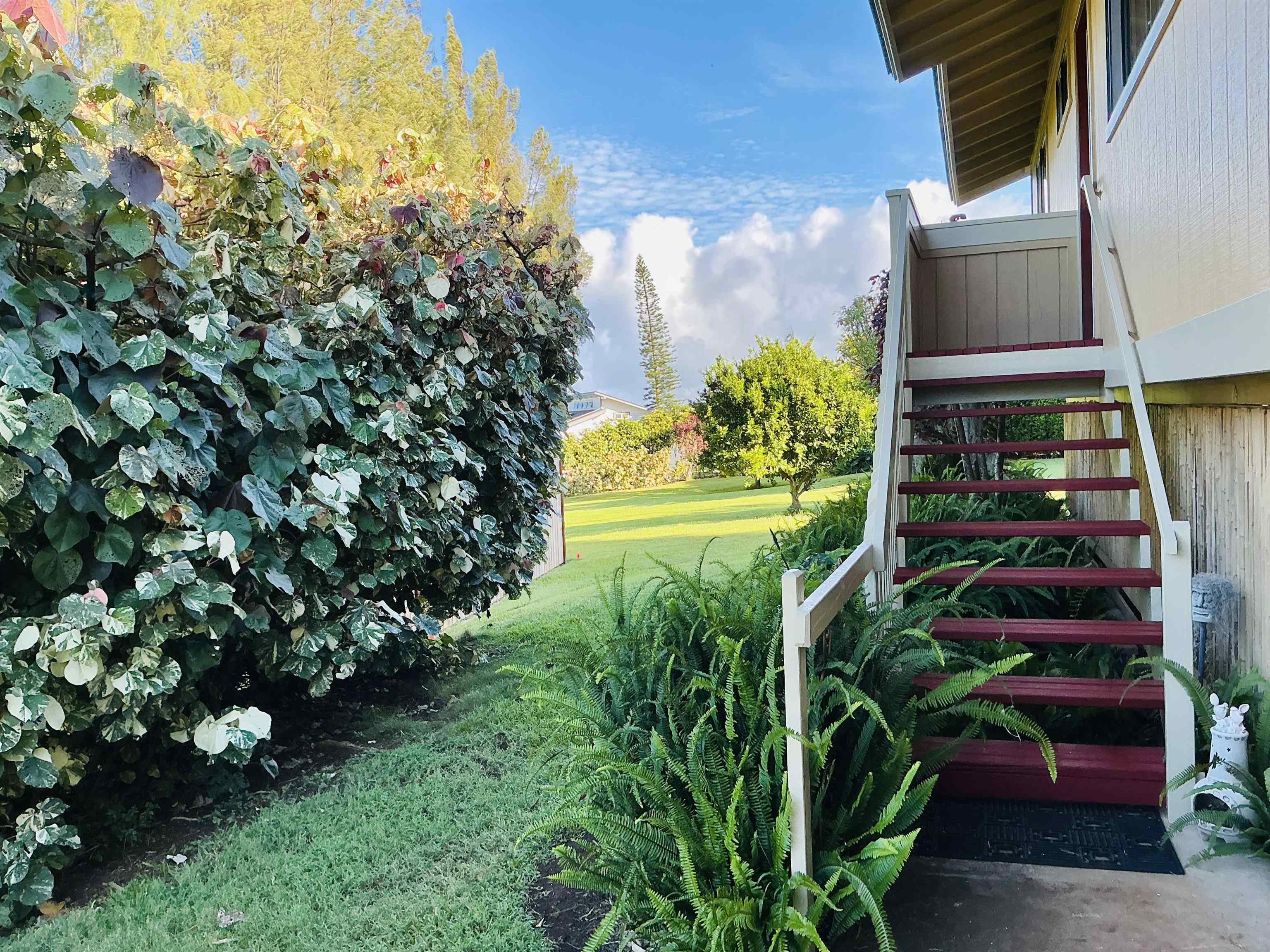 245  Mokuahi St , Makawao/Olinda/Haliimaile home - photo 24 of 50