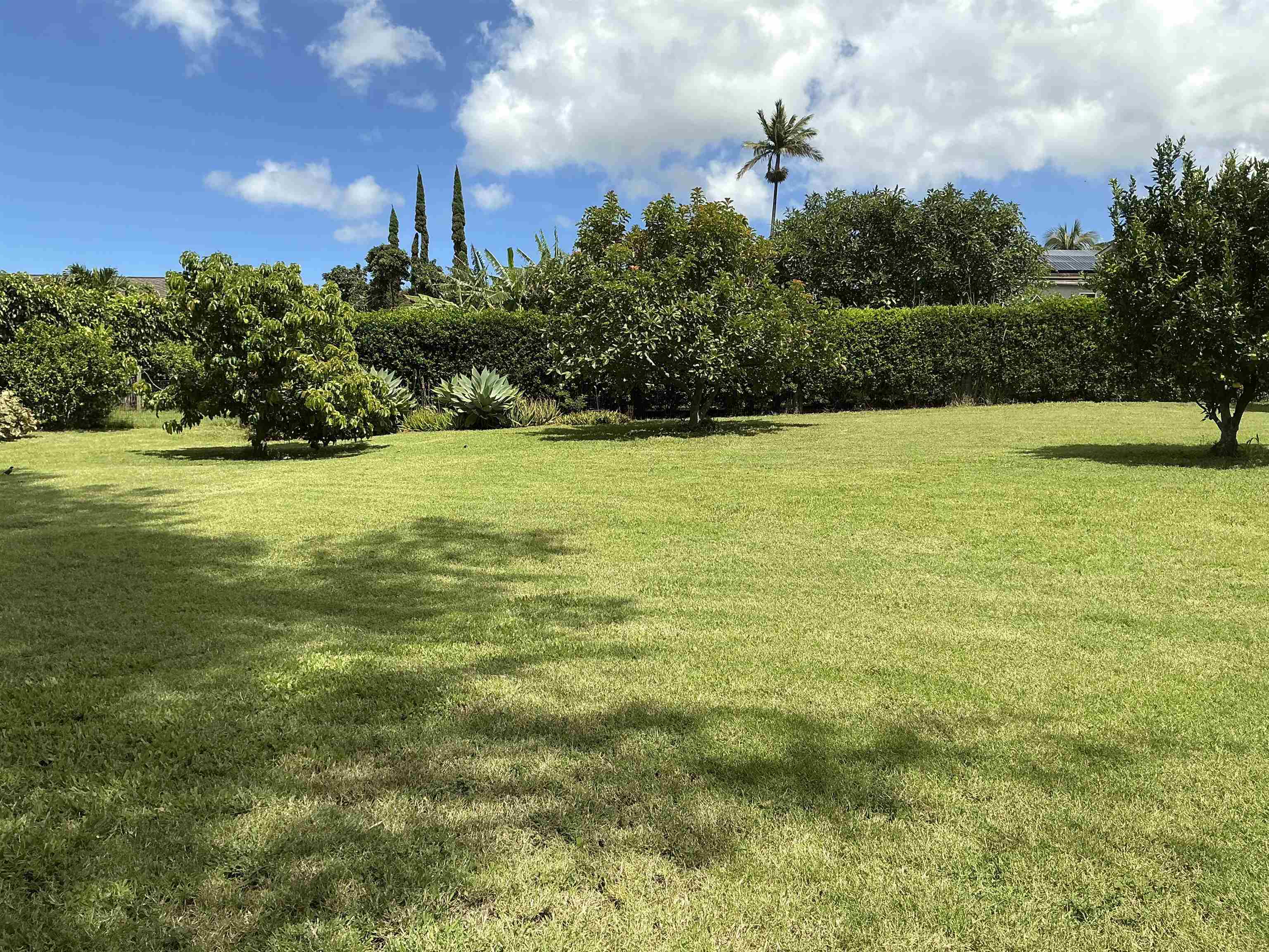 245  Mokuahi St , Makawao/Olinda/Haliimaile home - photo 31 of 50