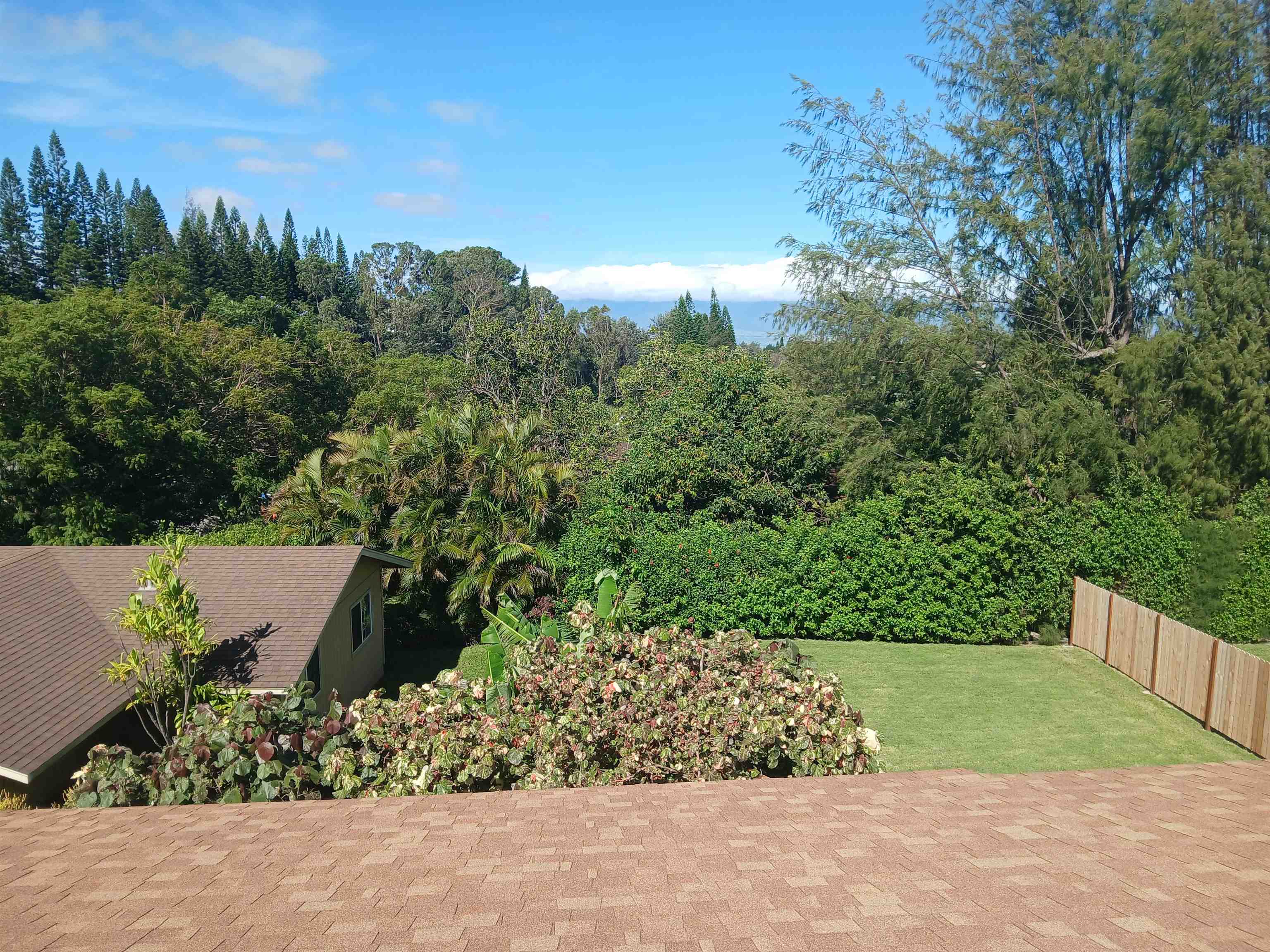 245  Mokuahi St , Makawao/Olinda/Haliimaile home - photo 34 of 50
