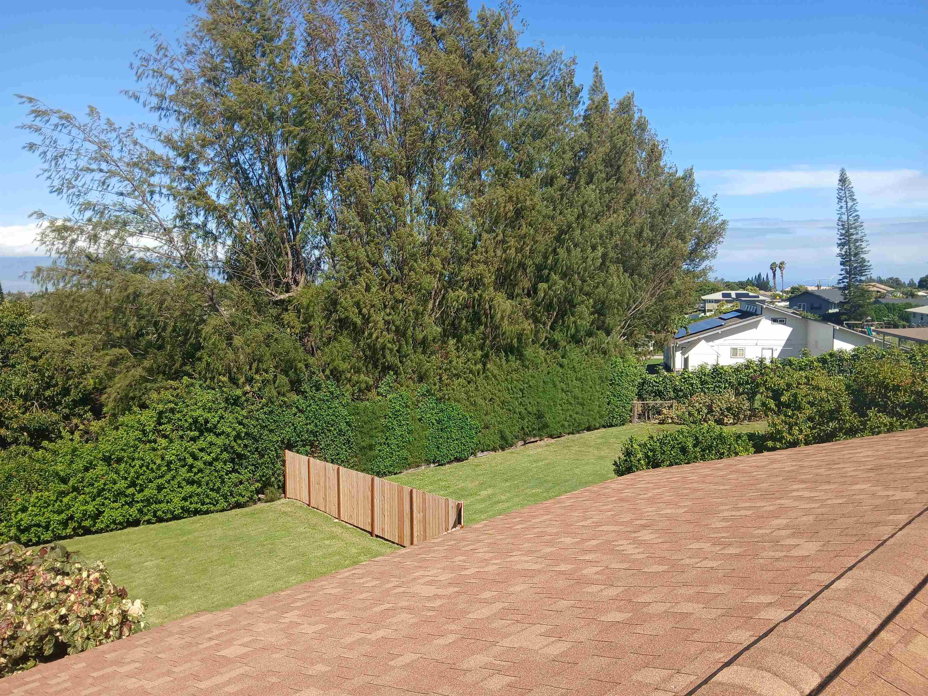 245  Mokuahi St , Makawao/Olinda/Haliimaile home - photo 36 of 50