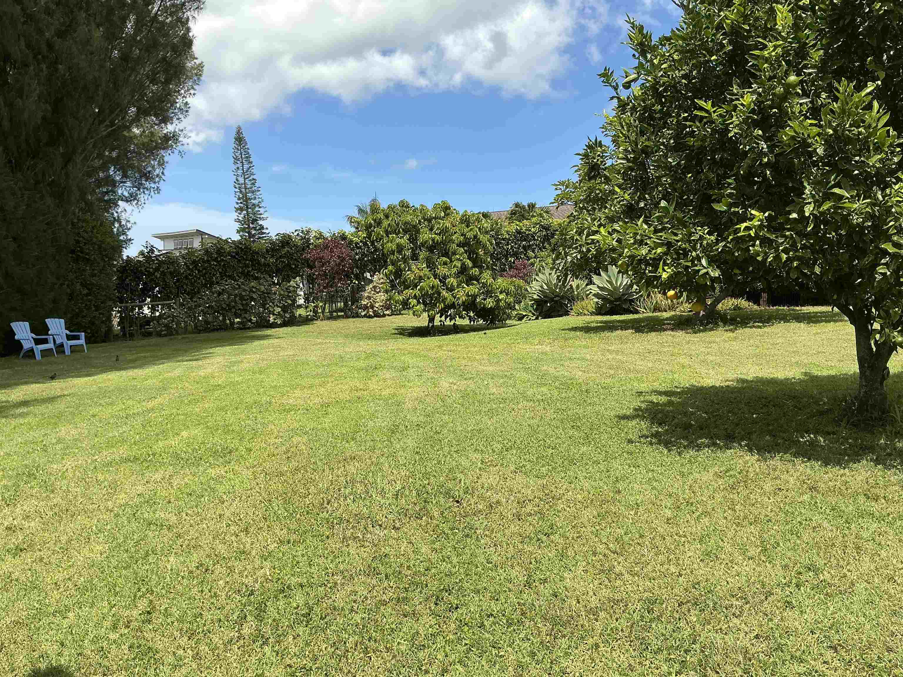 245  Mokuahi St , Makawao/Olinda/Haliimaile home - photo 37 of 50