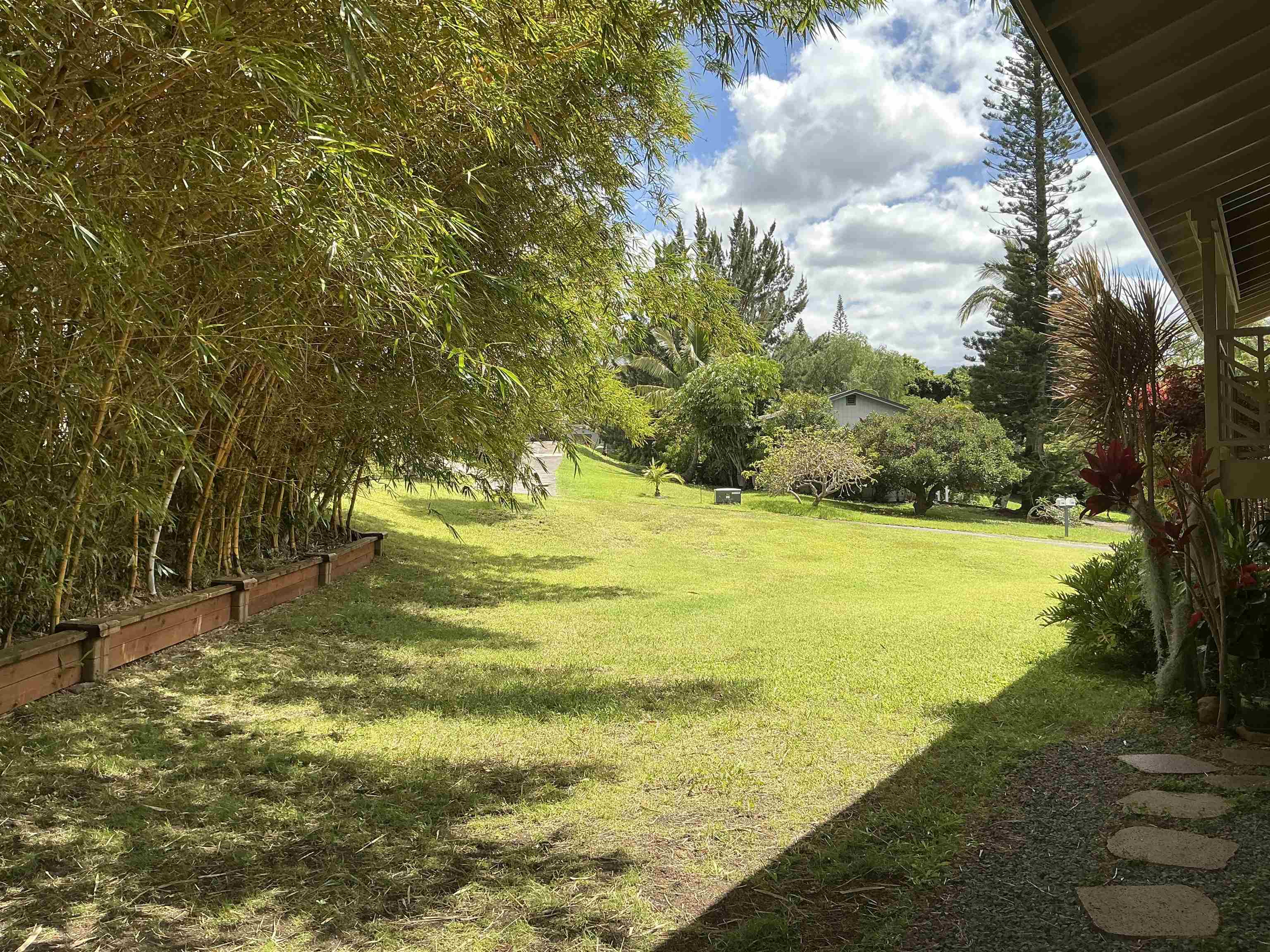 245  Mokuahi St , Makawao/Olinda/Haliimaile home - photo 39 of 50