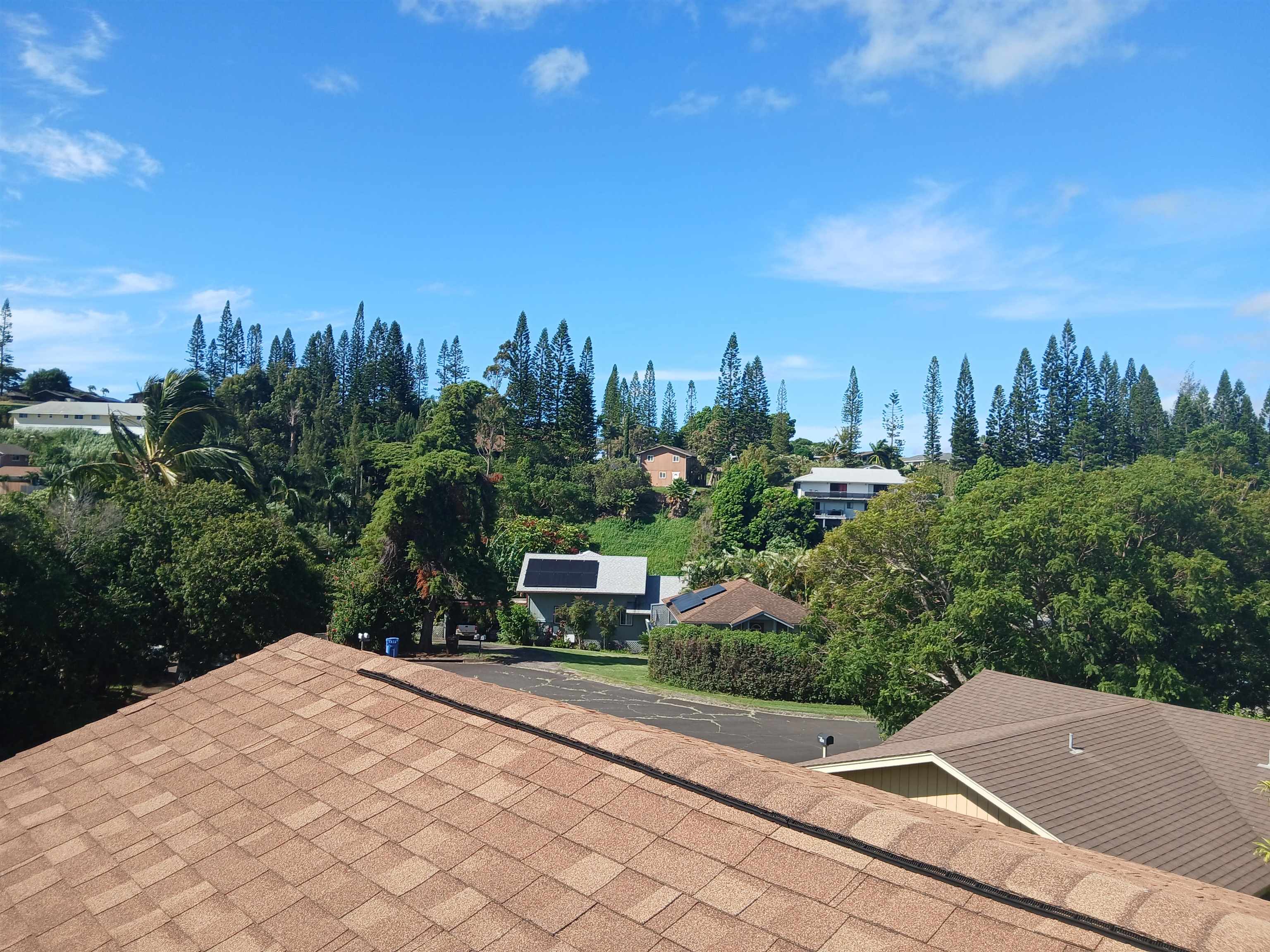 245  Mokuahi St , Makawao/Olinda/Haliimaile home - photo 40 of 50