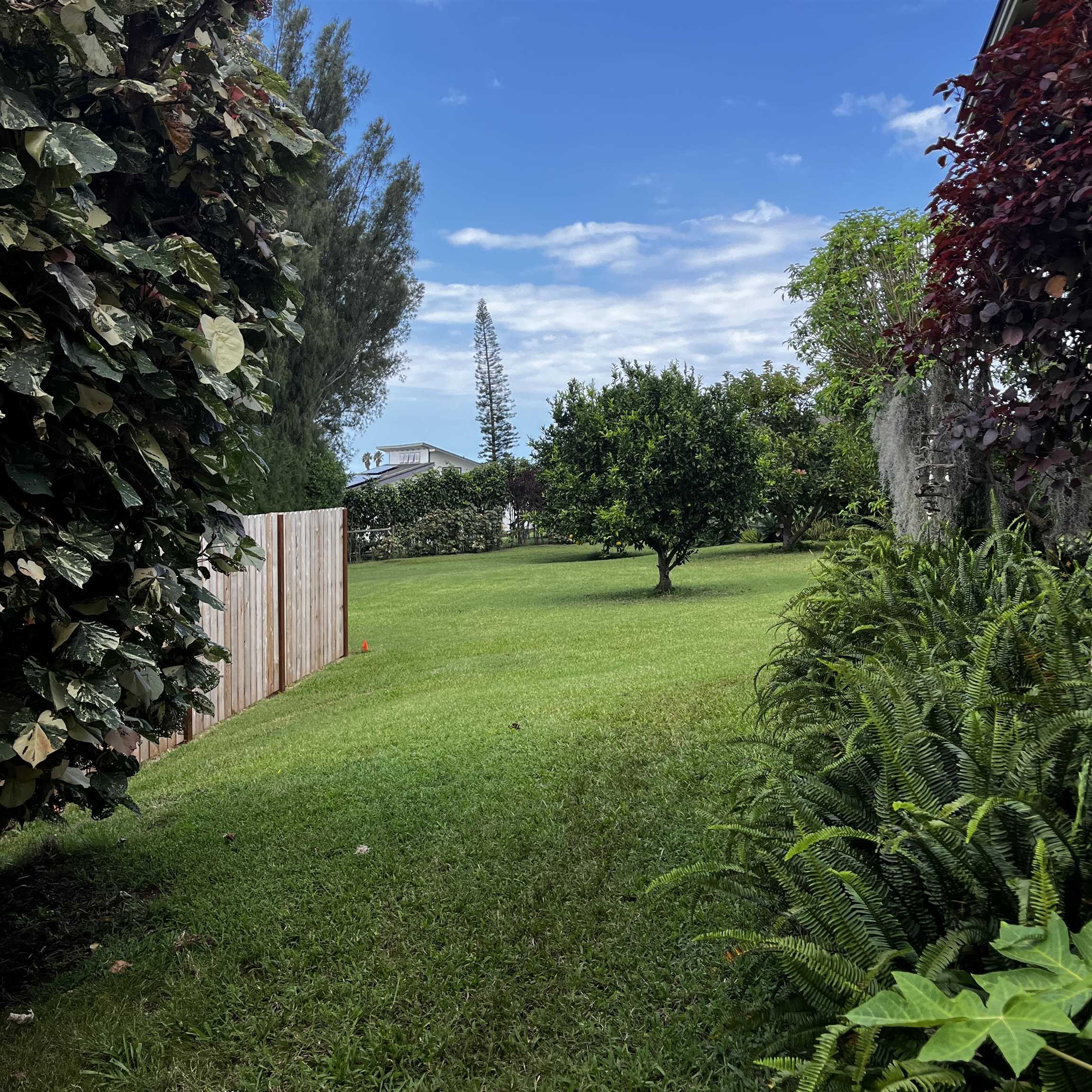 245  Mokuahi St , Makawao/Olinda/Haliimaile home - photo 45 of 50