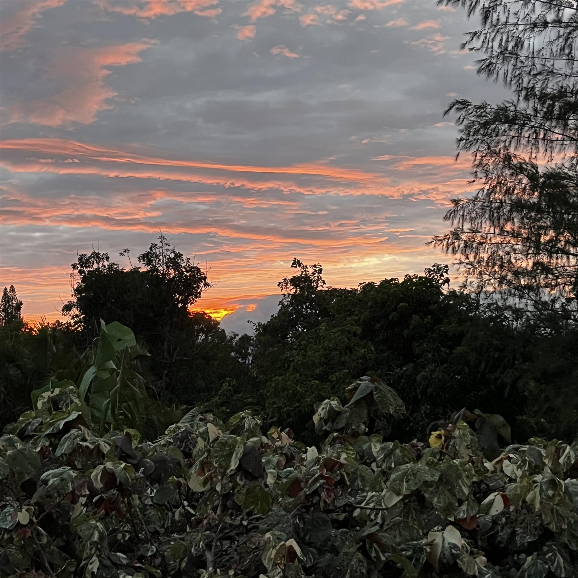 245  Mokuahi St , Makawao/Olinda/Haliimaile home - photo 50 of 50
