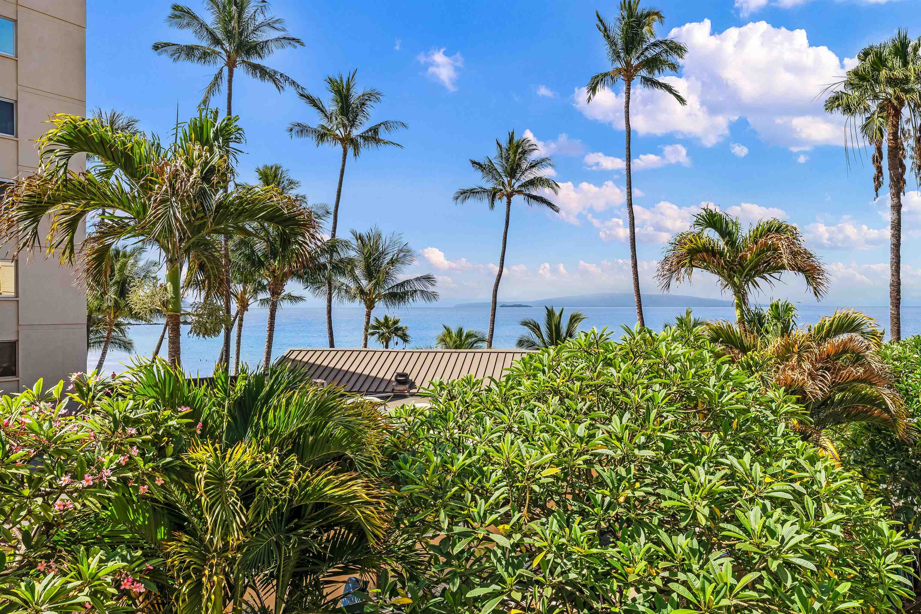 Kamaole Nalu condo # 302, Kihei, Hawaii - photo 30 of 43