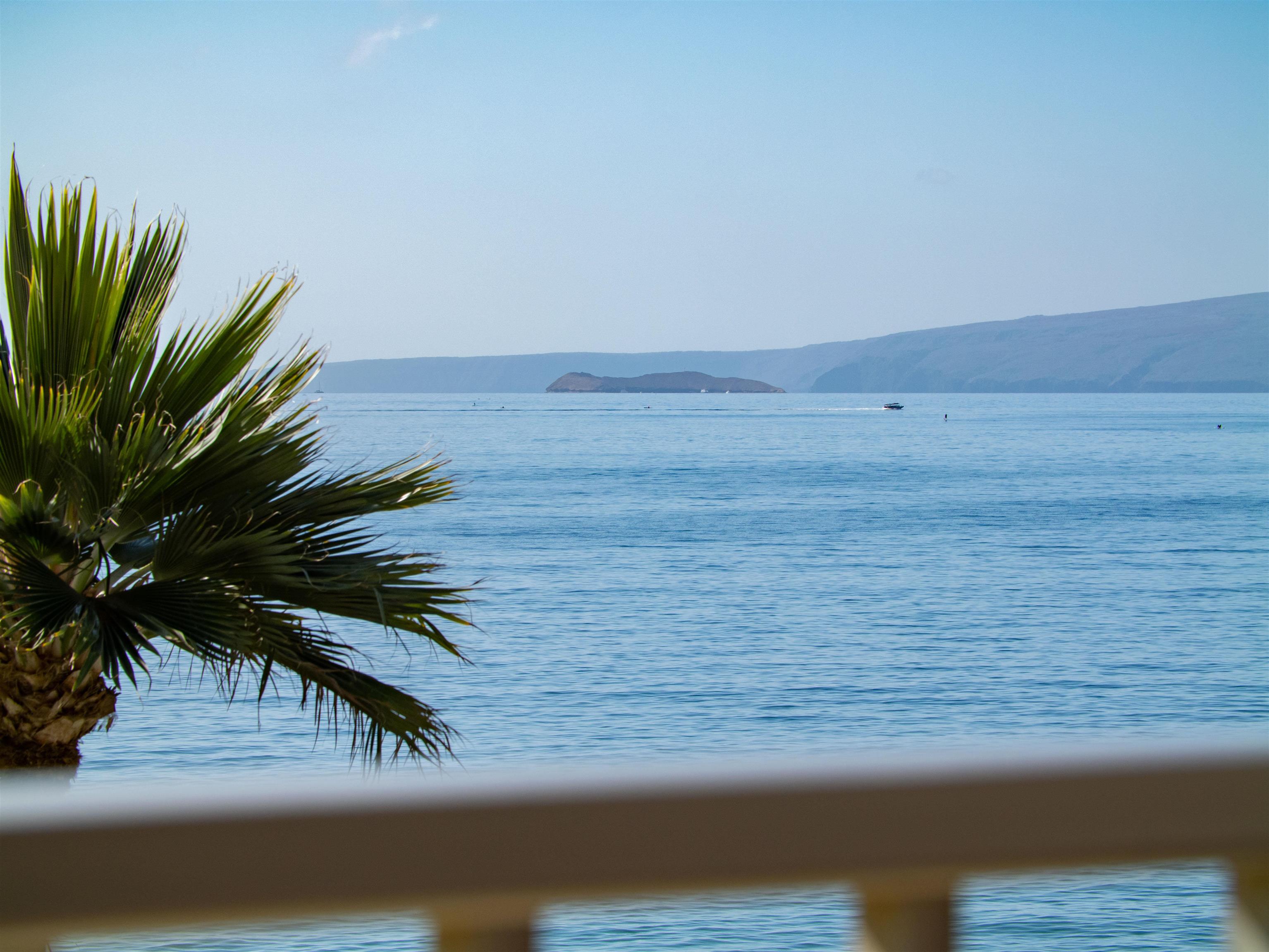 Kamaole Nalu condo # 305, Kihei, Hawaii - photo 37 of 45