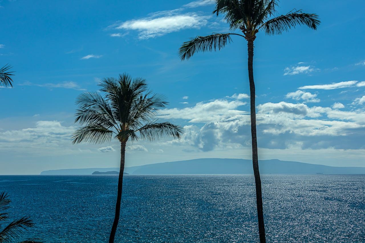 Kamaole Nalu condo # 502, Kihei, Hawaii - photo 27 of 30