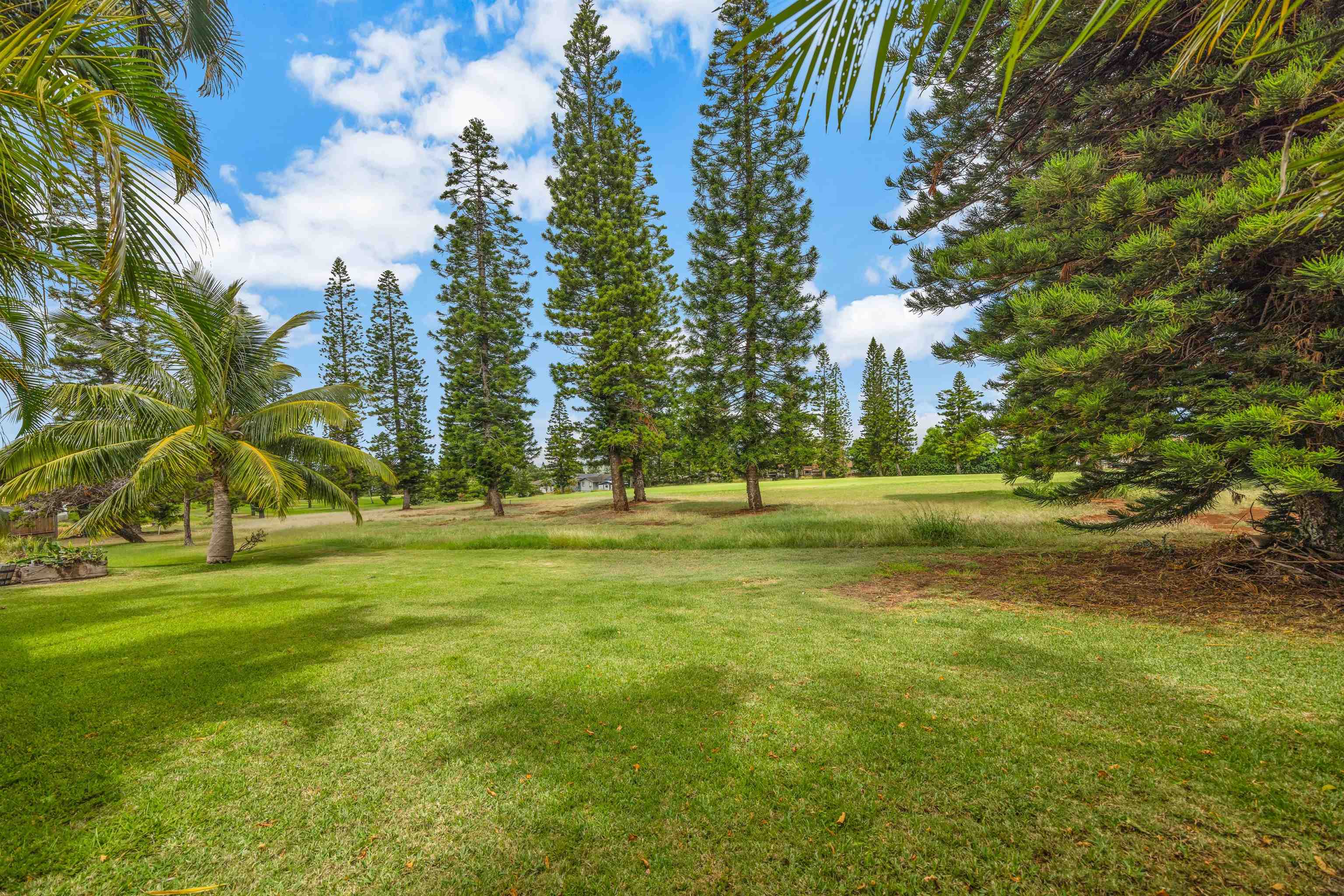 246  Hololani St Pukalani Golf Course, Pukalani home - photo 29 of 32