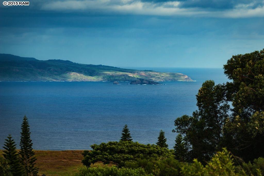 246 Keoawa St LOT 23 Lahaina, Hi vacant land for sale - photo 12 of 23