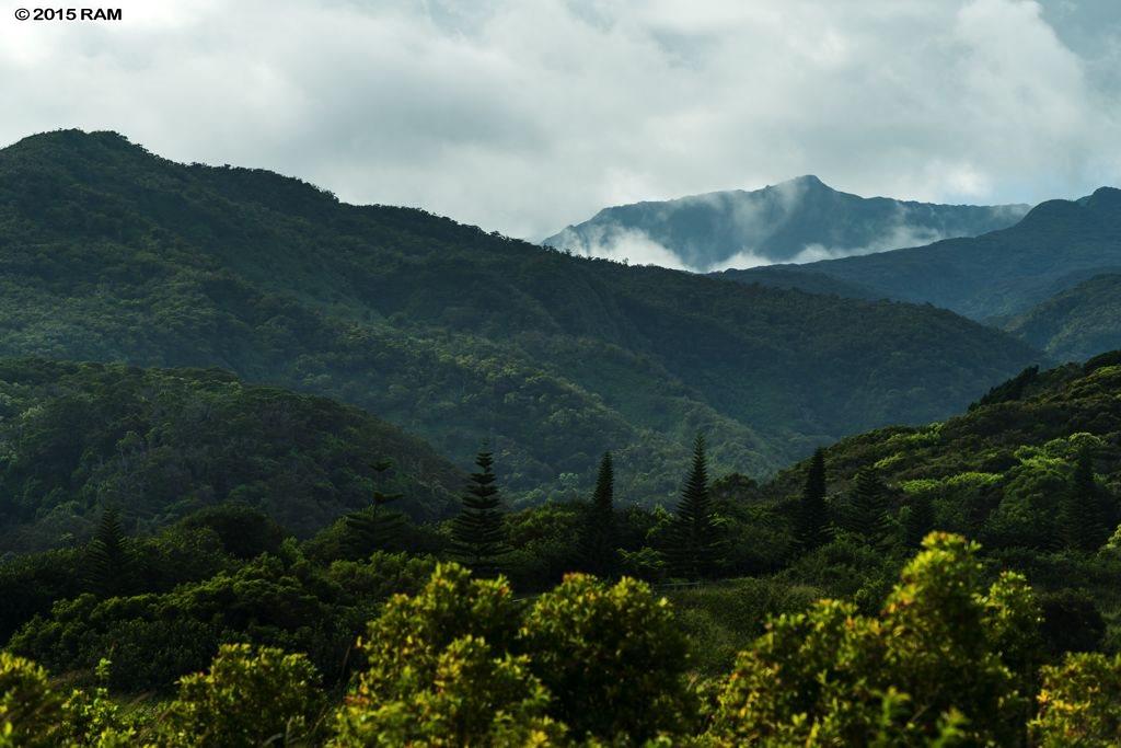 246 Keoawa St LOT 23 Lahaina, Hi vacant land for sale - photo 13 of 23