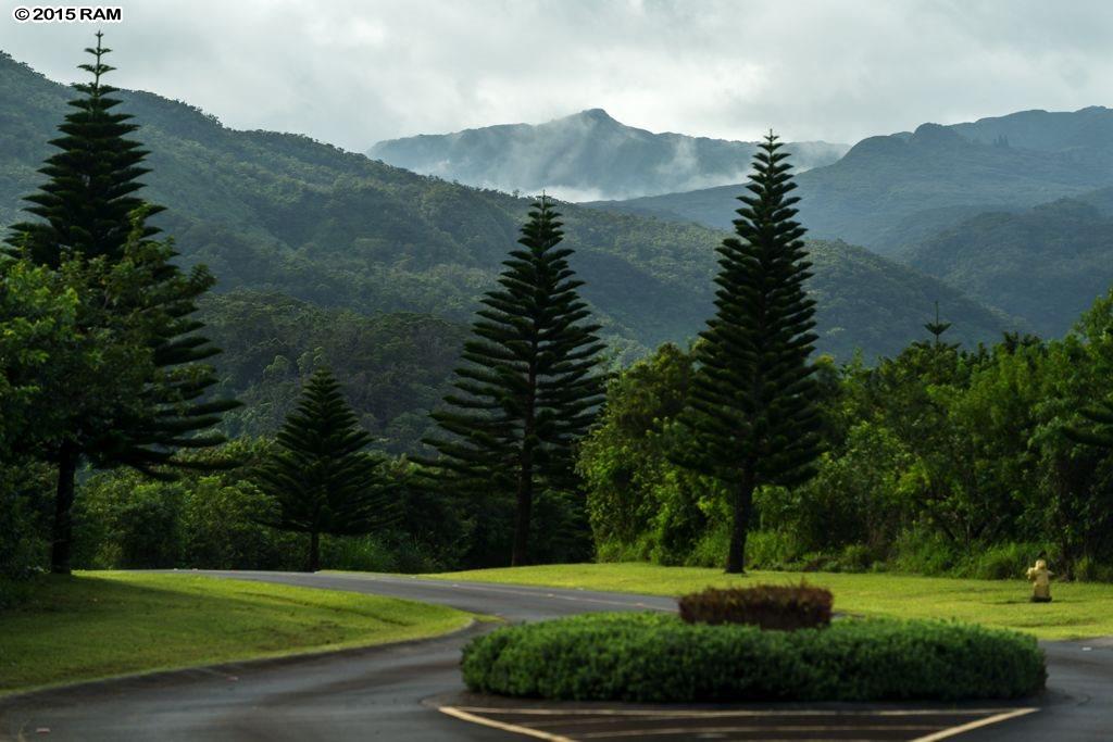 246 Keoawa St LOT 23 Lahaina, Hi vacant land for sale - photo 20 of 23