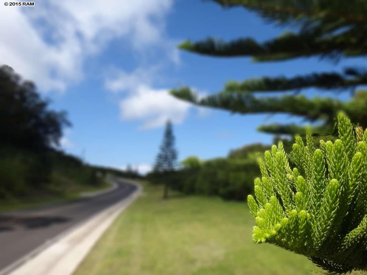 246 Keoawa St LOT 23 Lahaina, Hi vacant land for sale - photo 21 of 23