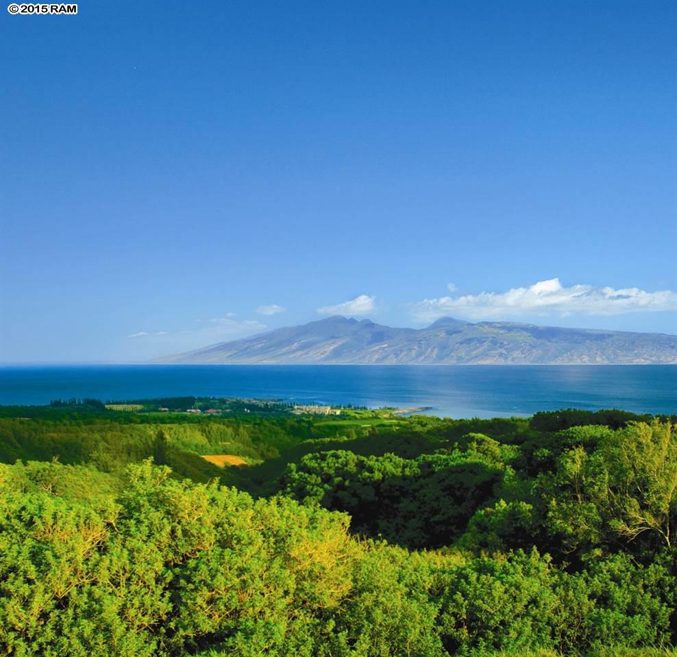 246 Keoawa St LOT 23 Lahaina, Hi vacant land for sale - photo 9 of 23