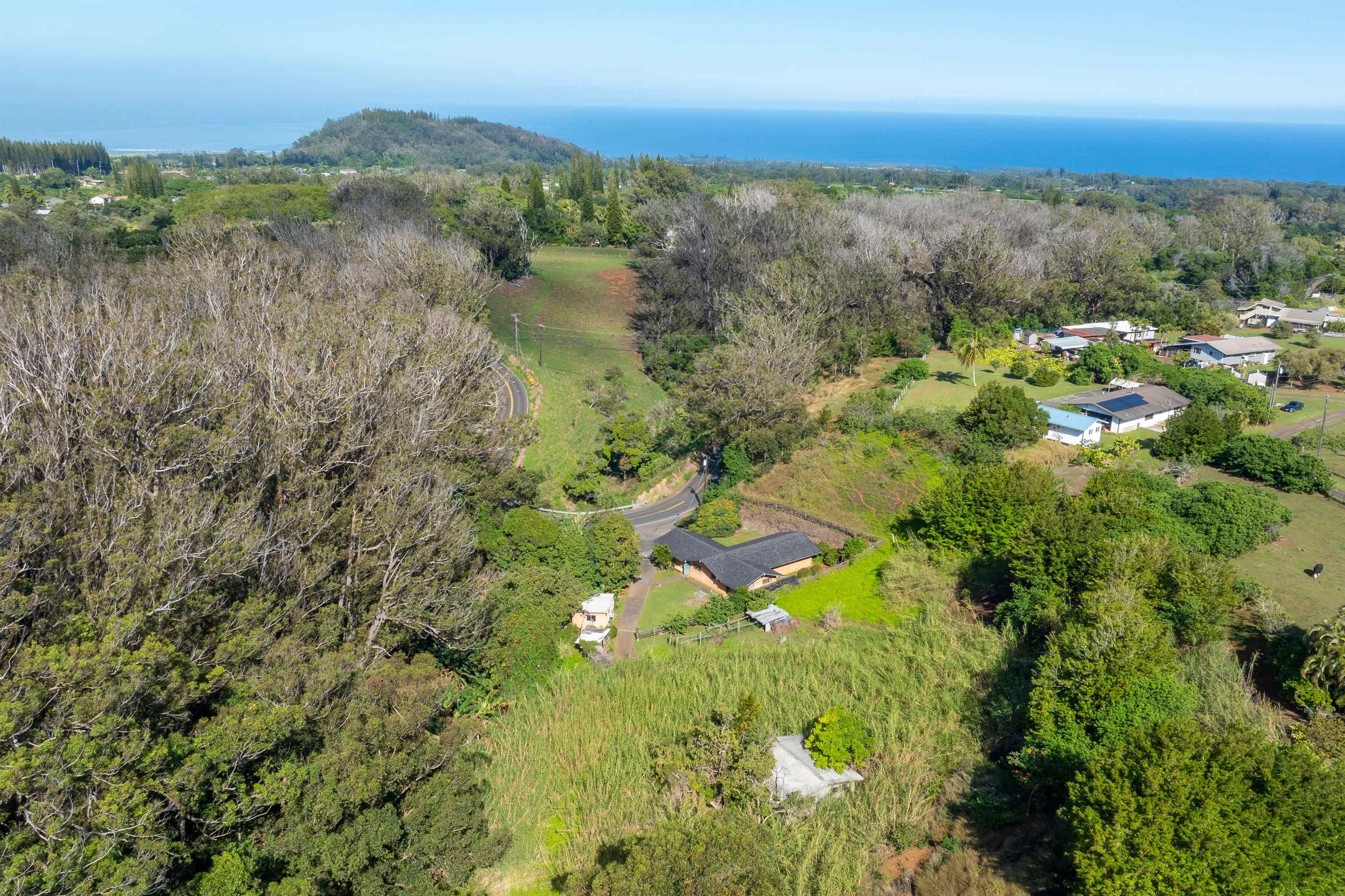 2475  Kaupakalua Rd Haiku, Haiku home - photo 16 of 28