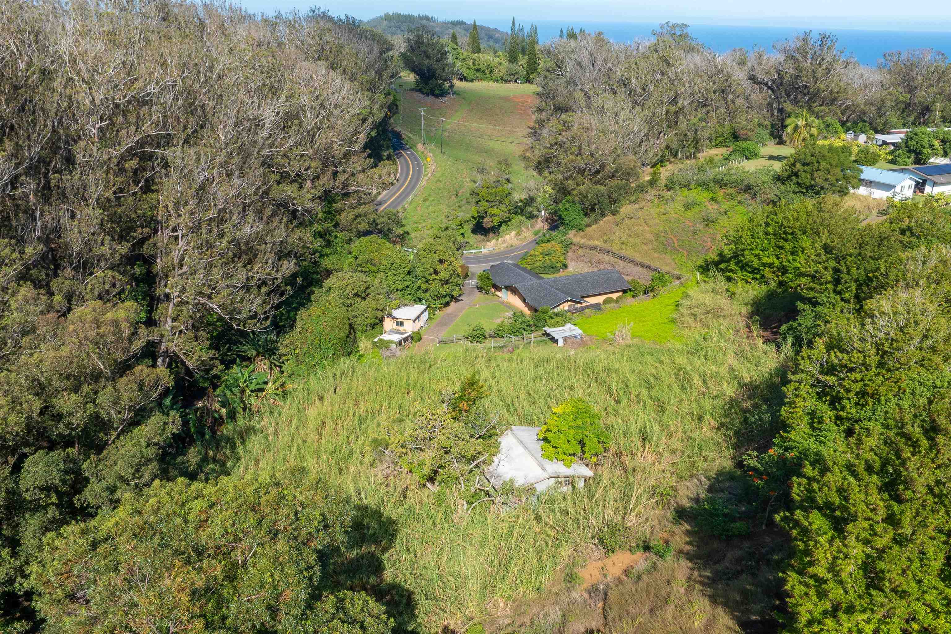 2475  Kaupakalua Rd Haiku, Haiku home - photo 17 of 28