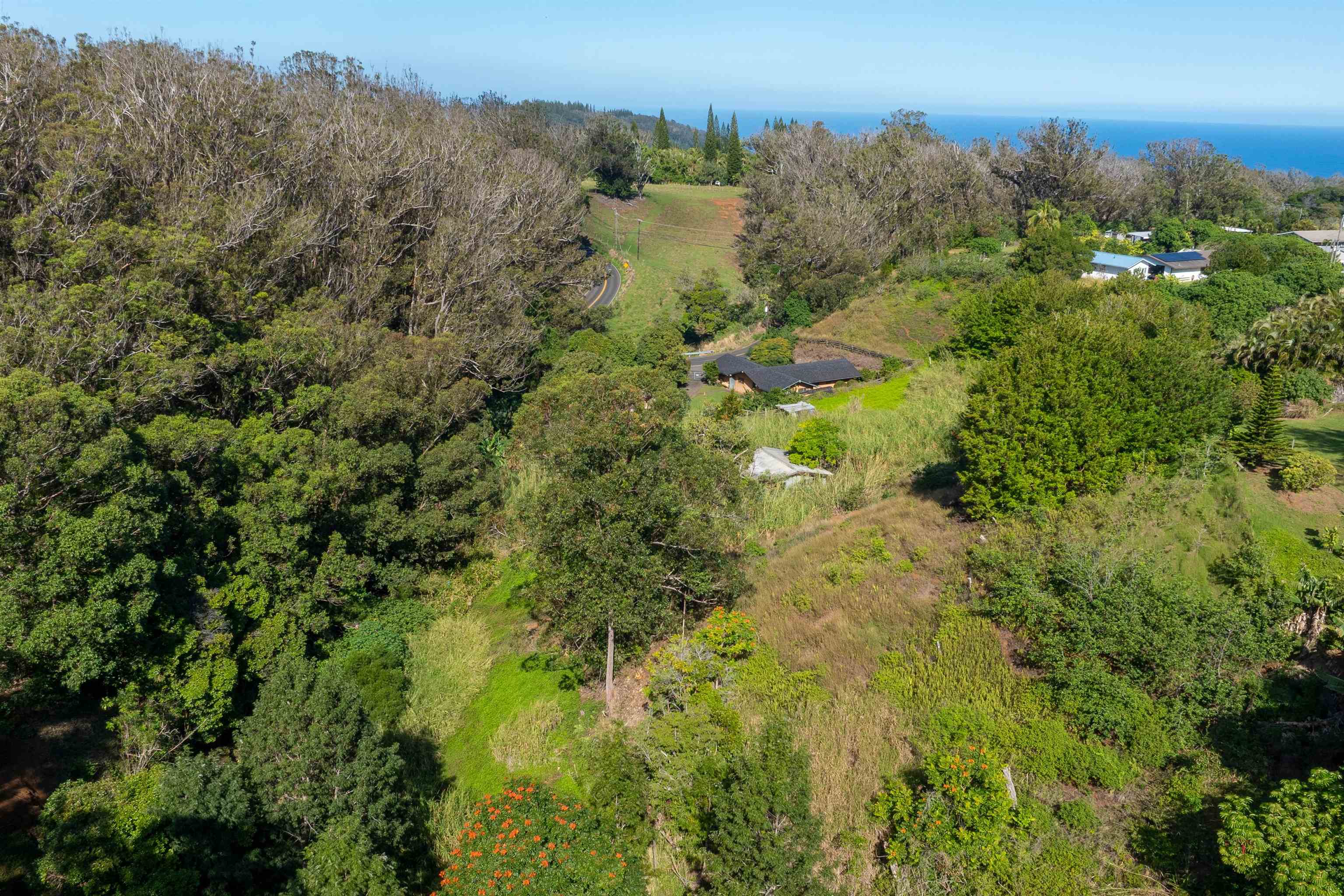 2475  Kaupakalua Rd Haiku, Haiku home - photo 18 of 28