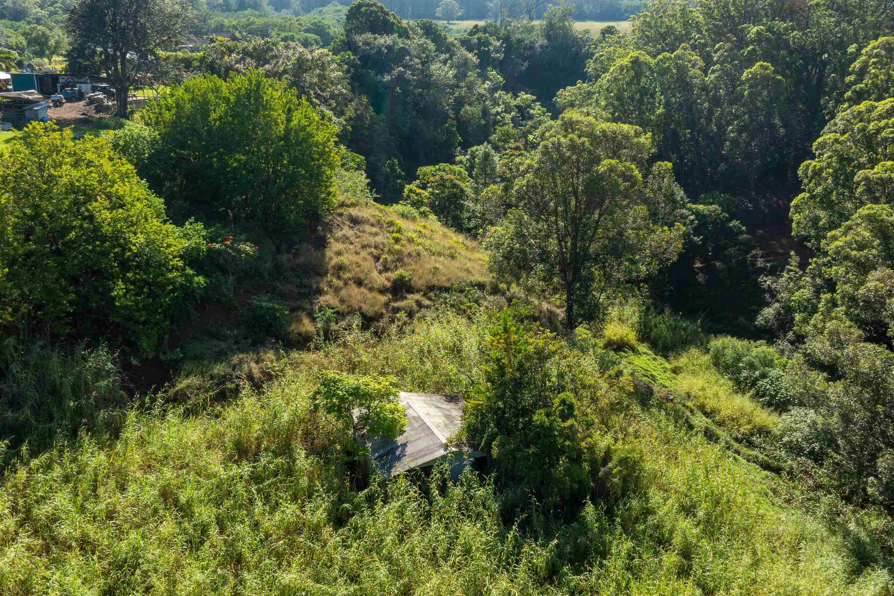 2475  Kaupakalua Rd Haiku, Haiku home - photo 20 of 28