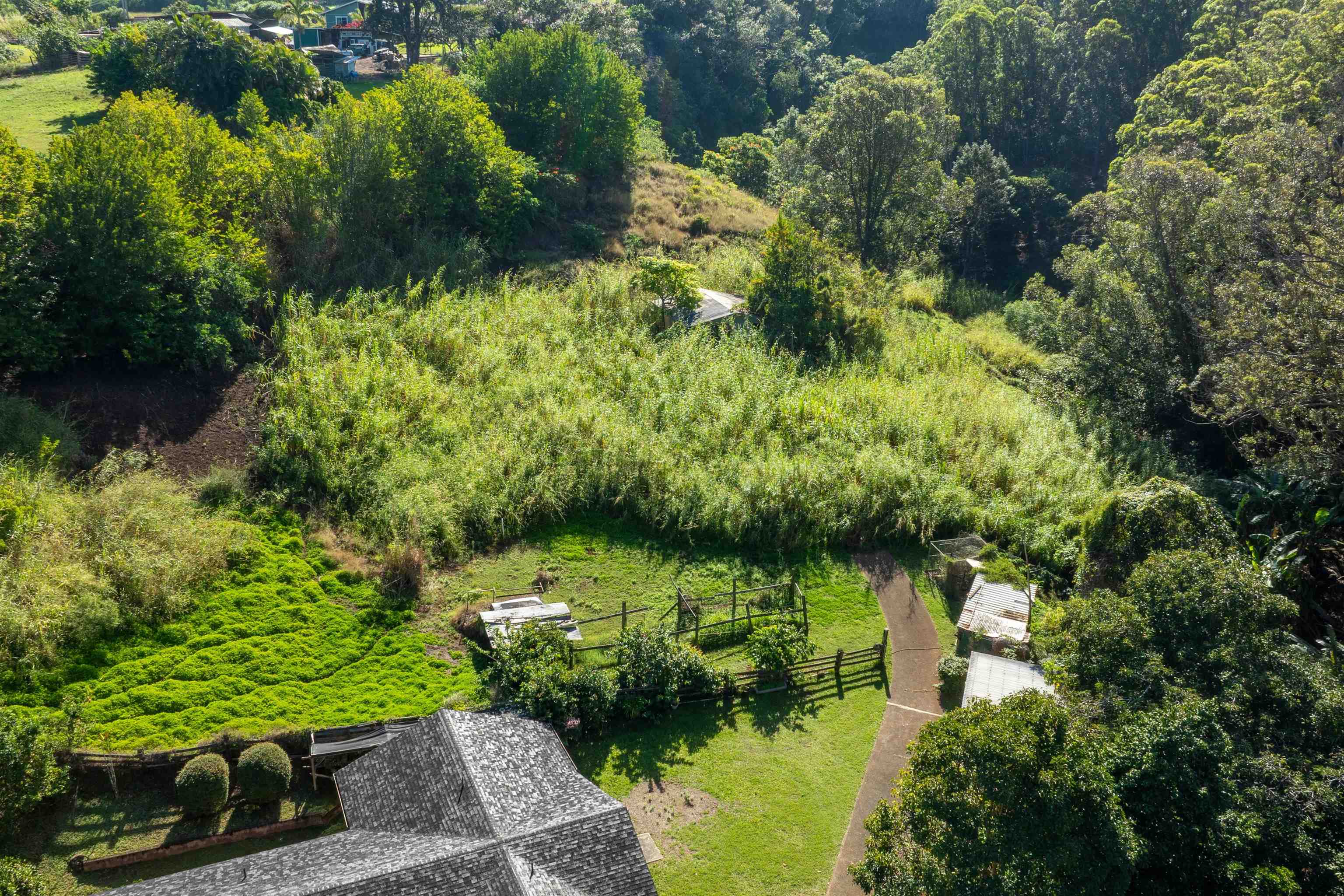 2475  Kaupakalua Rd Haiku, Haiku home - photo 21 of 28