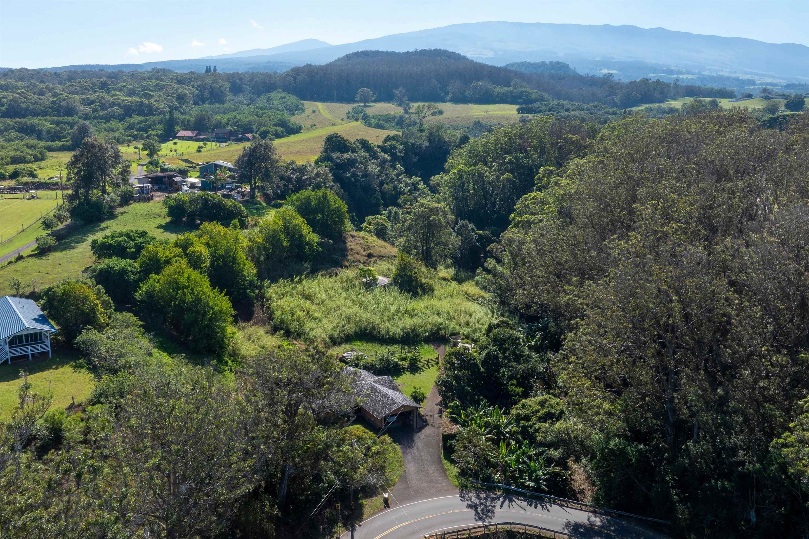 2475  Kaupakalua Rd Haiku, Haiku home - photo 23 of 28