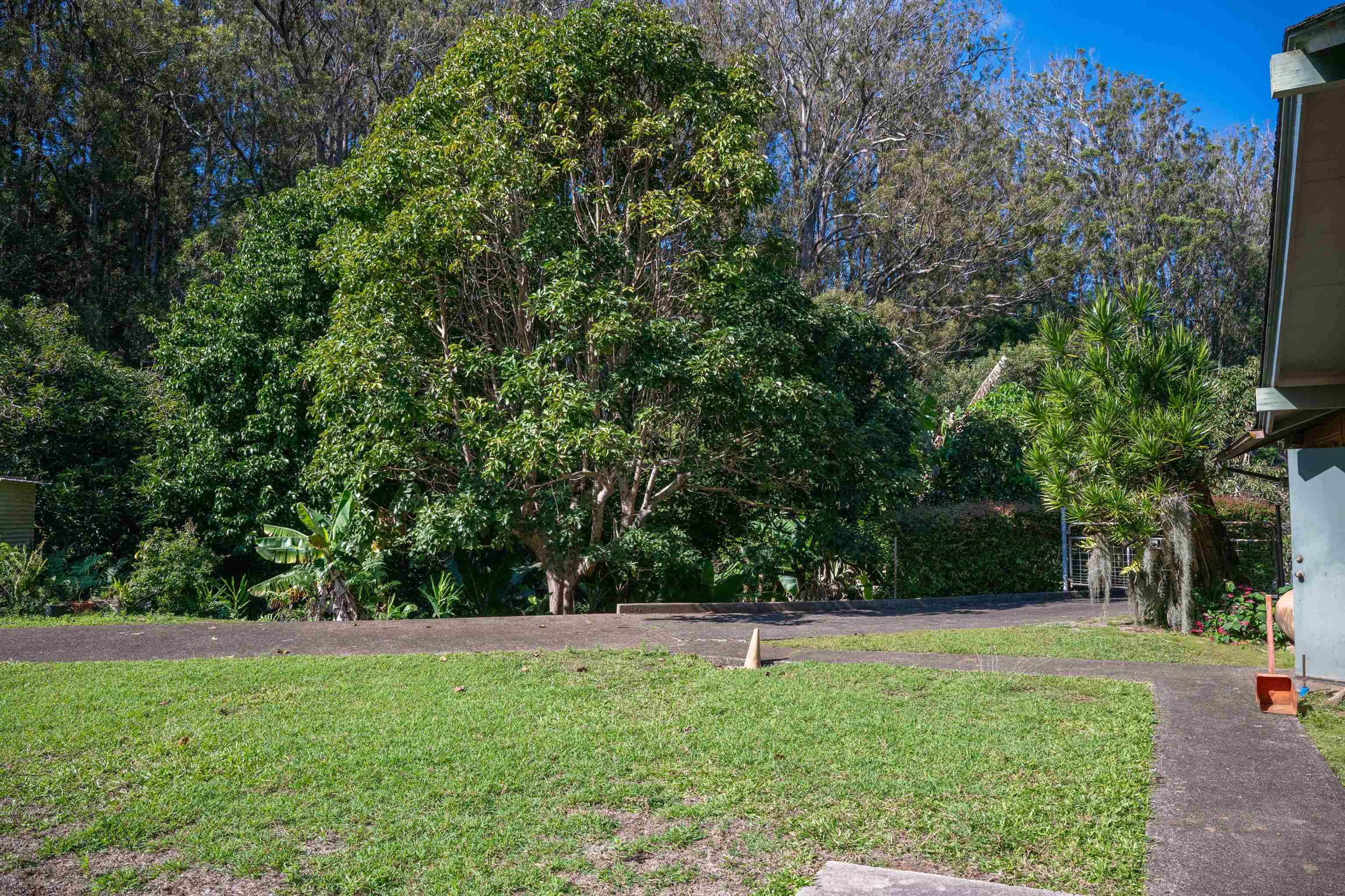 2475  Kaupakalua Rd Haiku, Haiku home - photo 4 of 28