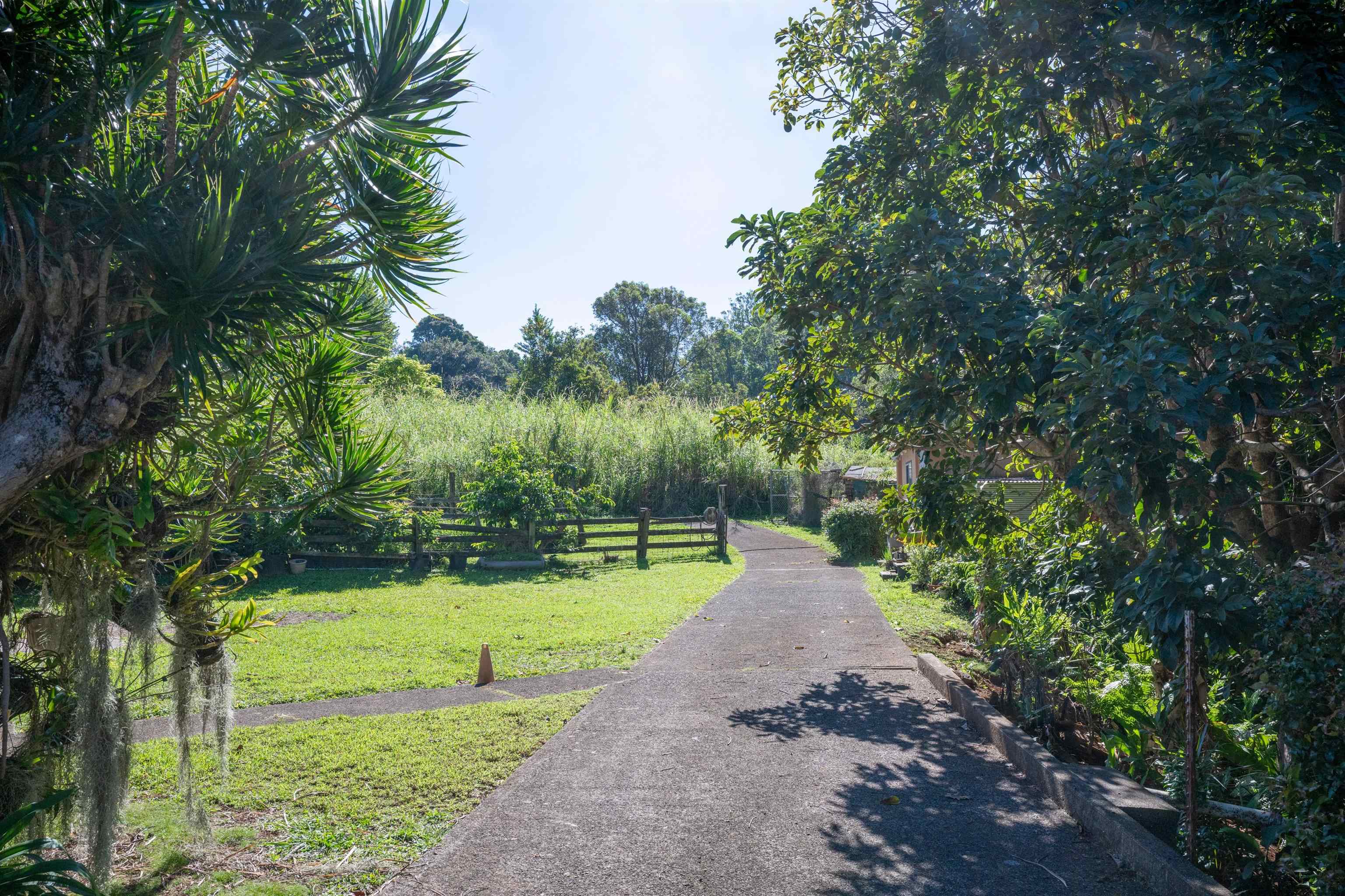 2475  Kaupakalua Rd Haiku, Haiku home - photo 5 of 28