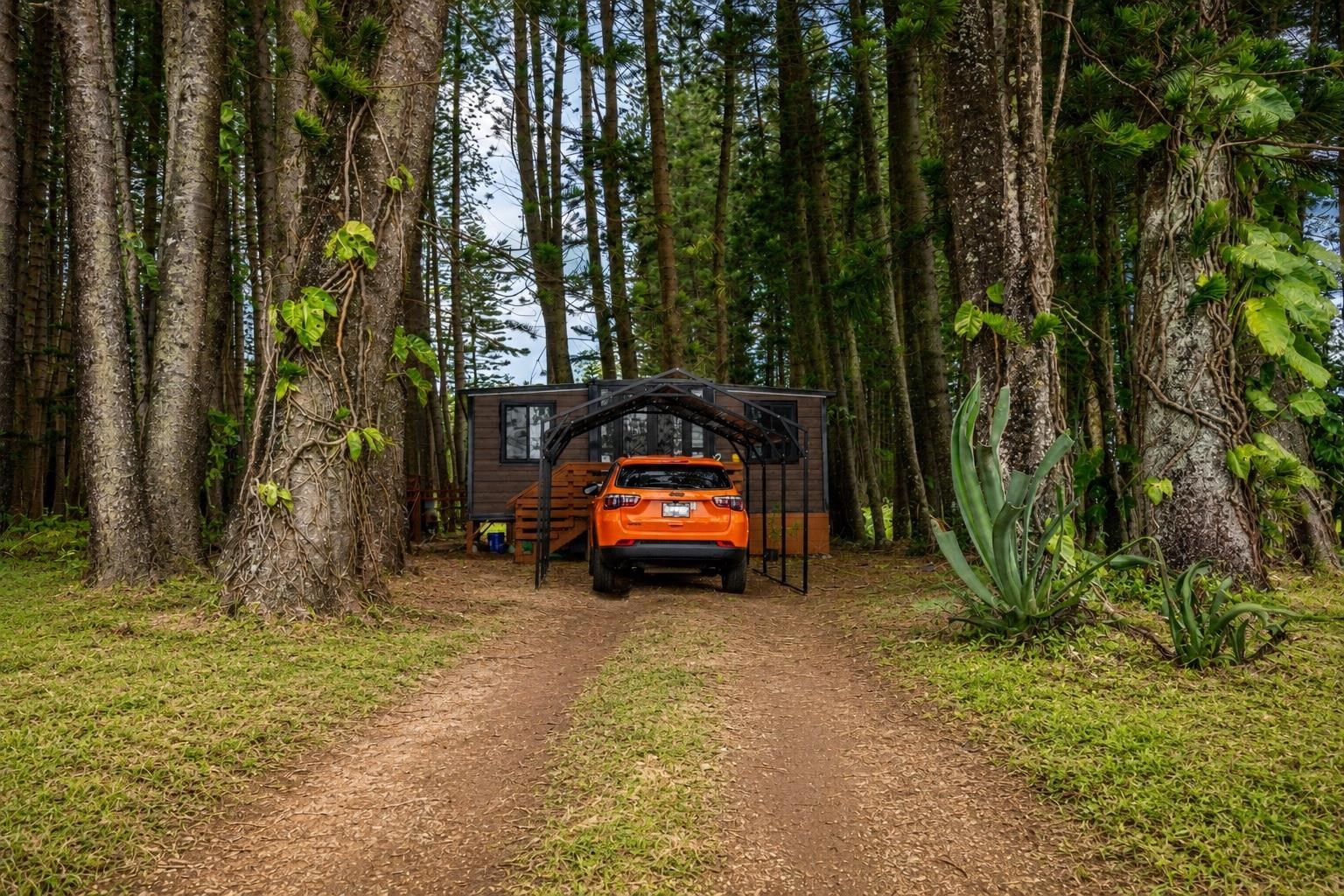 2475 "B"  Liliko'i Rd , Haiku home - photo 16 of 18
