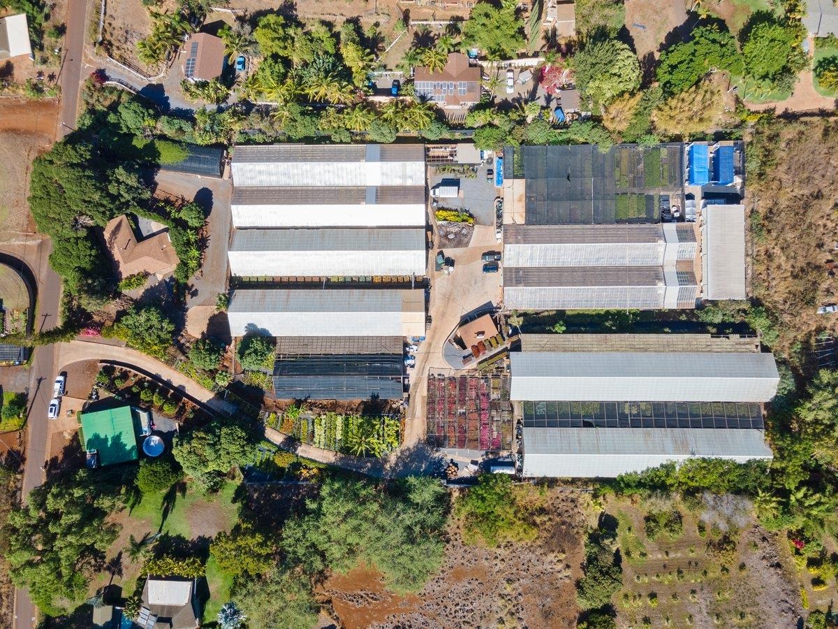 248  Piliwale Rd , Kula/Ulupalakua/Kanaio home - photo 2 of 22