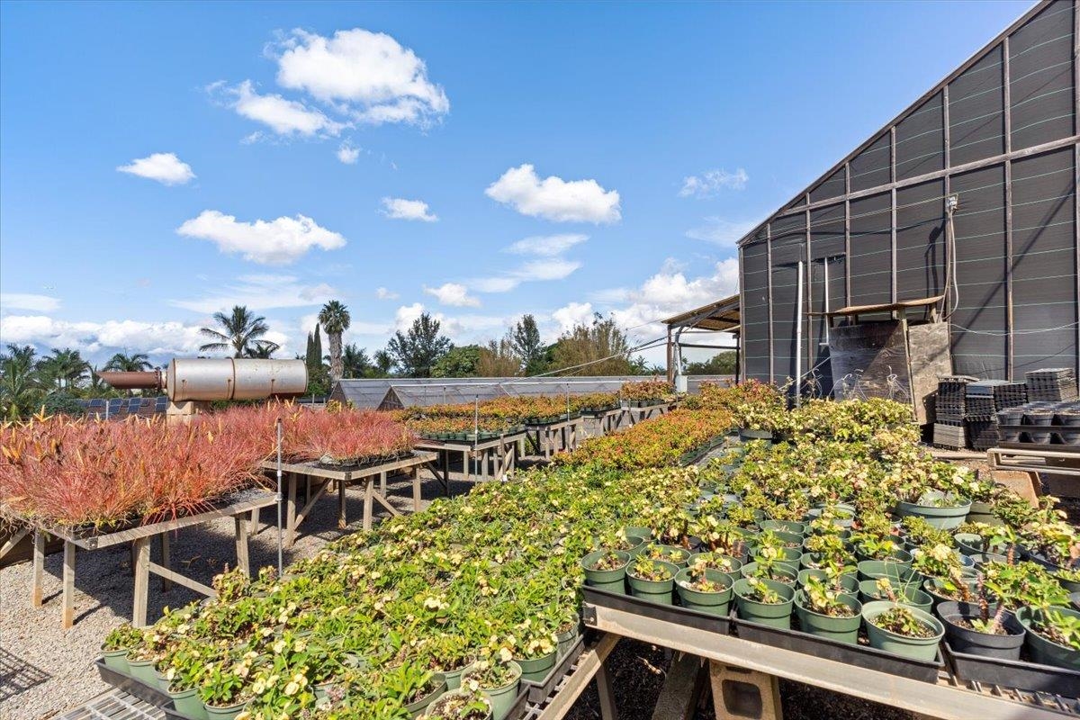 248  Piliwale Rd , Kula/Ulupalakua/Kanaio home - photo 12 of 22