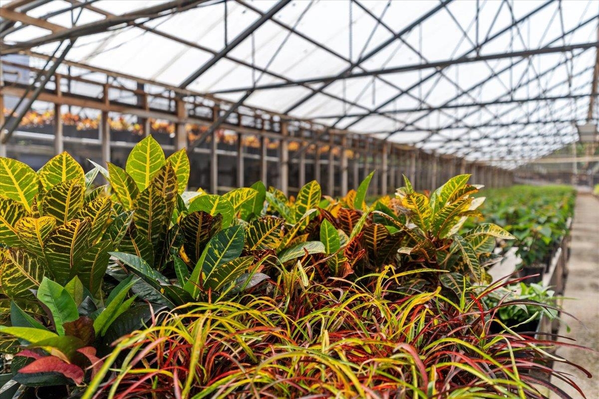 248  Piliwale Rd , Kula/Ulupalakua/Kanaio home - photo 19 of 22