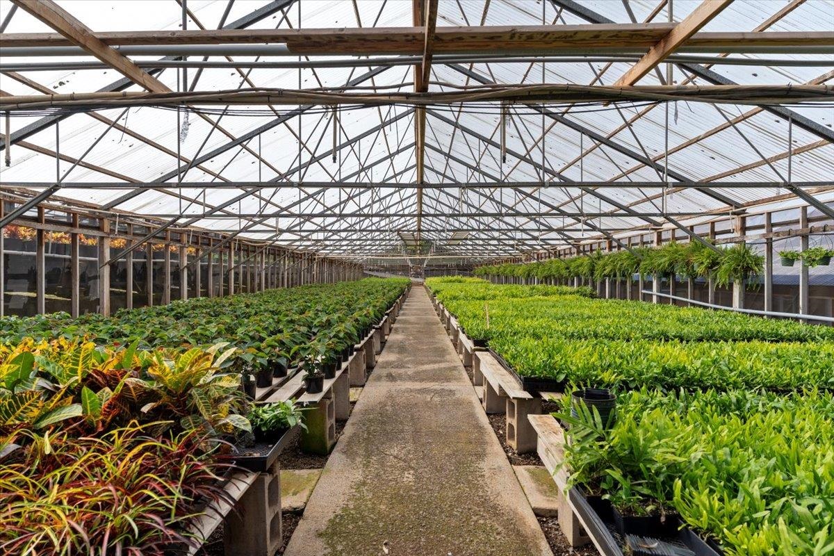 248  Piliwale Rd , Kula/Ulupalakua/Kanaio home - photo 20 of 22