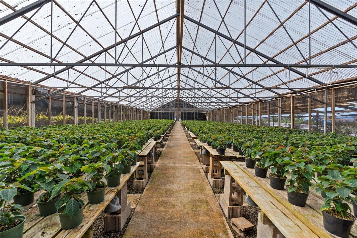 248  Piliwale Rd , Kula/Ulupalakua/Kanaio home - photo 3 of 22