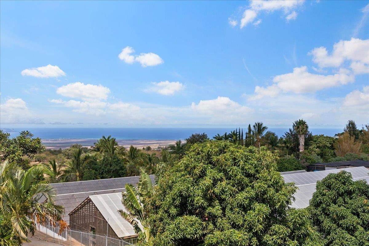 248  Piliwale Rd , Kula/Ulupalakua/Kanaio home - photo 4 of 22