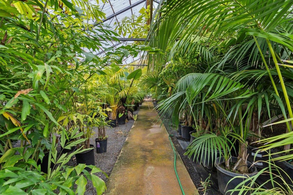 248  Piliwale Rd , Kula/Ulupalakua/Kanaio home - photo 7 of 22